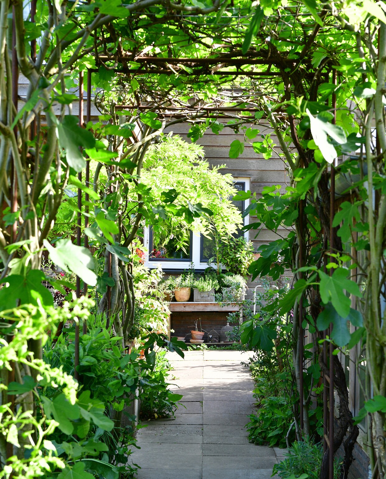De boog leidt van het huis naar de kas; hij is gemaakt door een smid en weelderig begroeid met vijg, clematis, druif en Duitse pijp. vtwonen tuinspecial 8 | fotografie Sietske de Vries