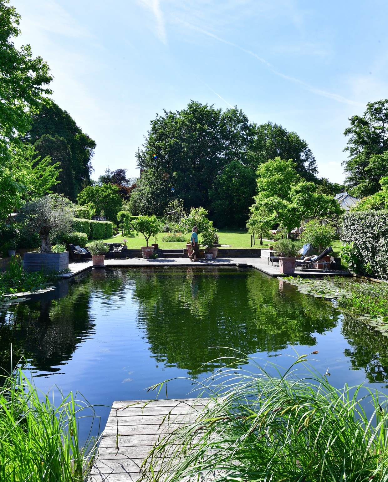 De planten op de voorgrond zijn de waterzuiverende Helofyten, ze vormen een natuurlijk filter. Aan de zijkanten zijn twee ondiepe bassins gemaakt met moerasplanten als de waterlelie. Vanaf de Douglashouten vlonder duik je zo het water in. vtwonen tuinspecial 8 | fotografie Sietske de Vries