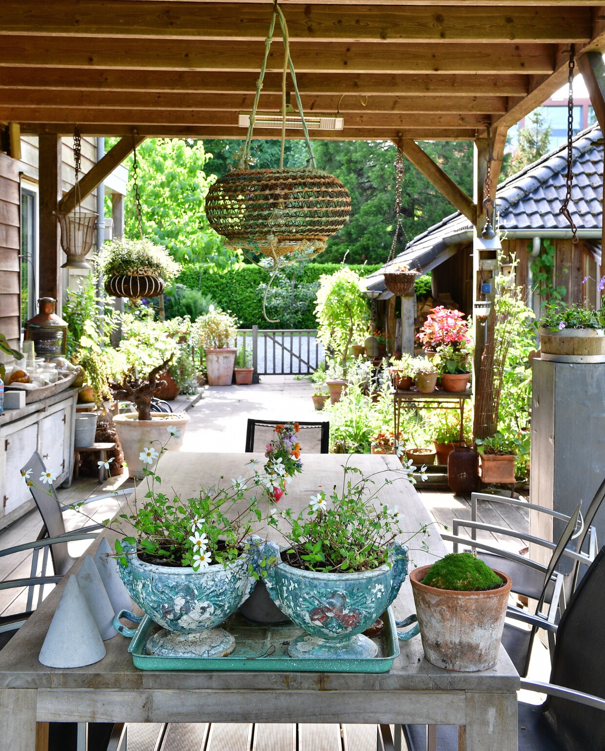 Een fijne plek bij hitte of regen: de veranda, gebouwd van eikenhout. Het huis en deze buitenkamer liggen hoger dan de tuin en hebben dus vrij zicht over het perceel en de enk. In de oude blauwe potten bloeien witte Bidens (tandzaad). Tuinmeubels en accessoires onbekend. vtwonen tuinspecial 8 | fotografie Sietske de Vries