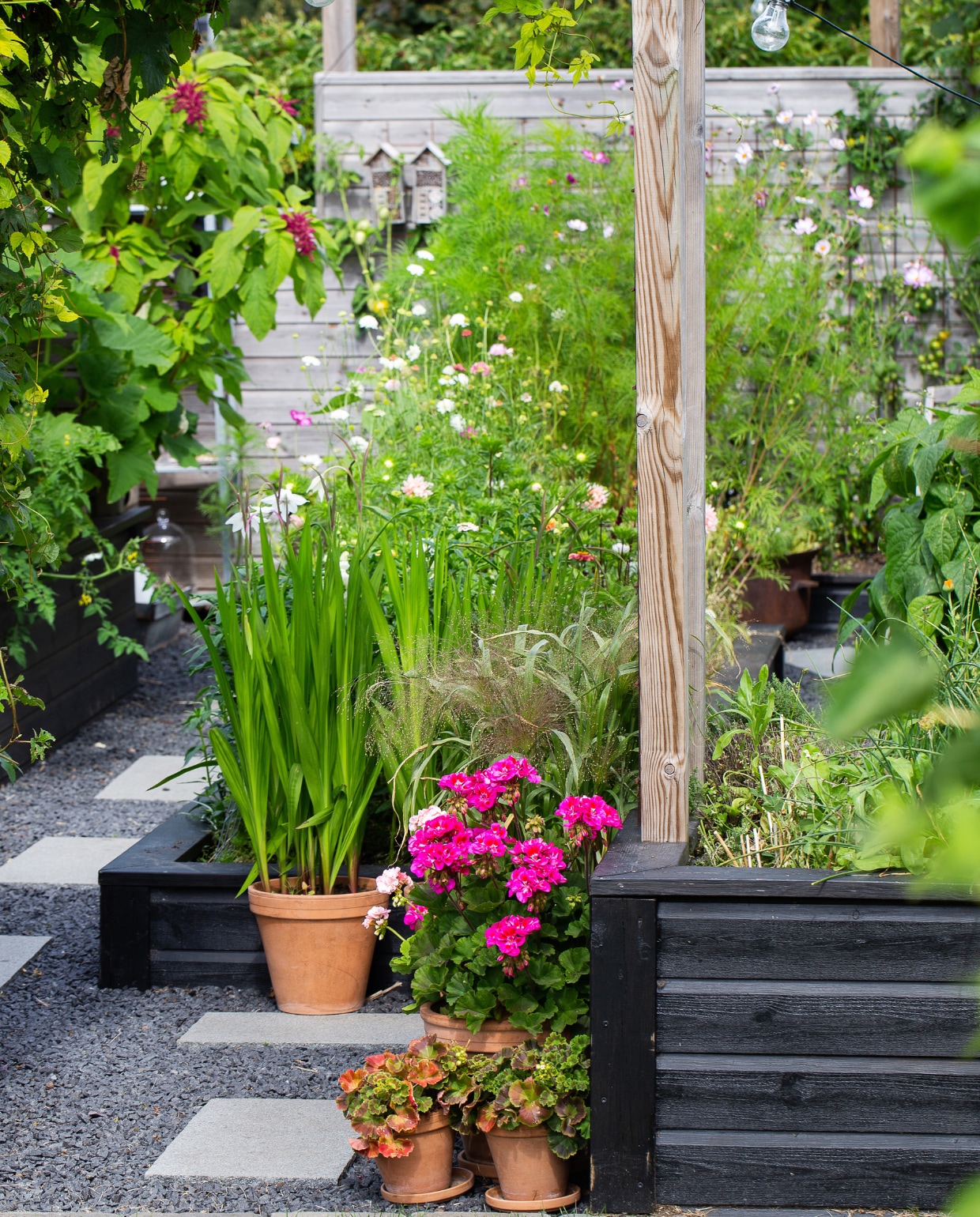 De moestuin is strak aangelegd met langs de buitenrand de hogere bloembakken en in het midden een lager houten bloembed. De verhoogde bakken zorgen voor een comfortabele werkhoogte. Door te kweken in bakken met daartussen stapstenen en split, sta je nooit in de modder. vtwonen special tuin 08 | productie House of Pictures | fotografie Anna Örnberg