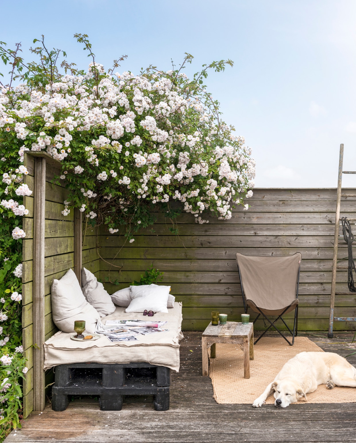 De tuin van Marianne vtwonen 06-2023 | fotografie Stan Koolen