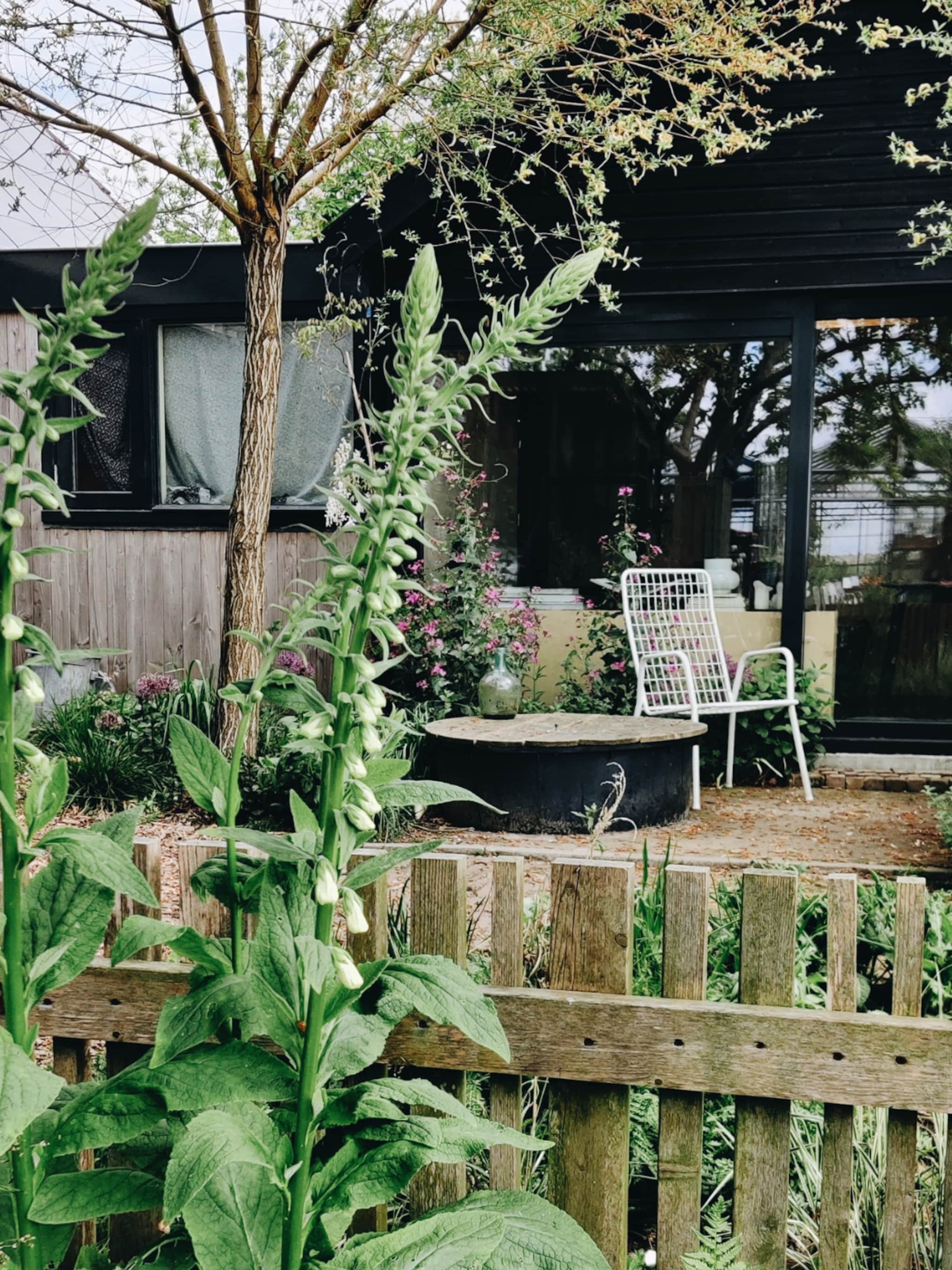 zo zorgen tuinexperts vivian en mark voor een tuin vol bloeiende voorjaarsplanten