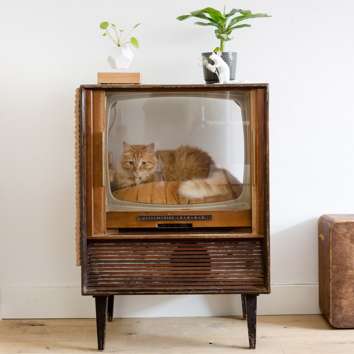 Kattenbak meubel, retro tv, planten vtwonen weer verliefd op je huis | seizoen 11 aflevering 4 | styling Eva van de Ven | fotografie Barbara Kieboom