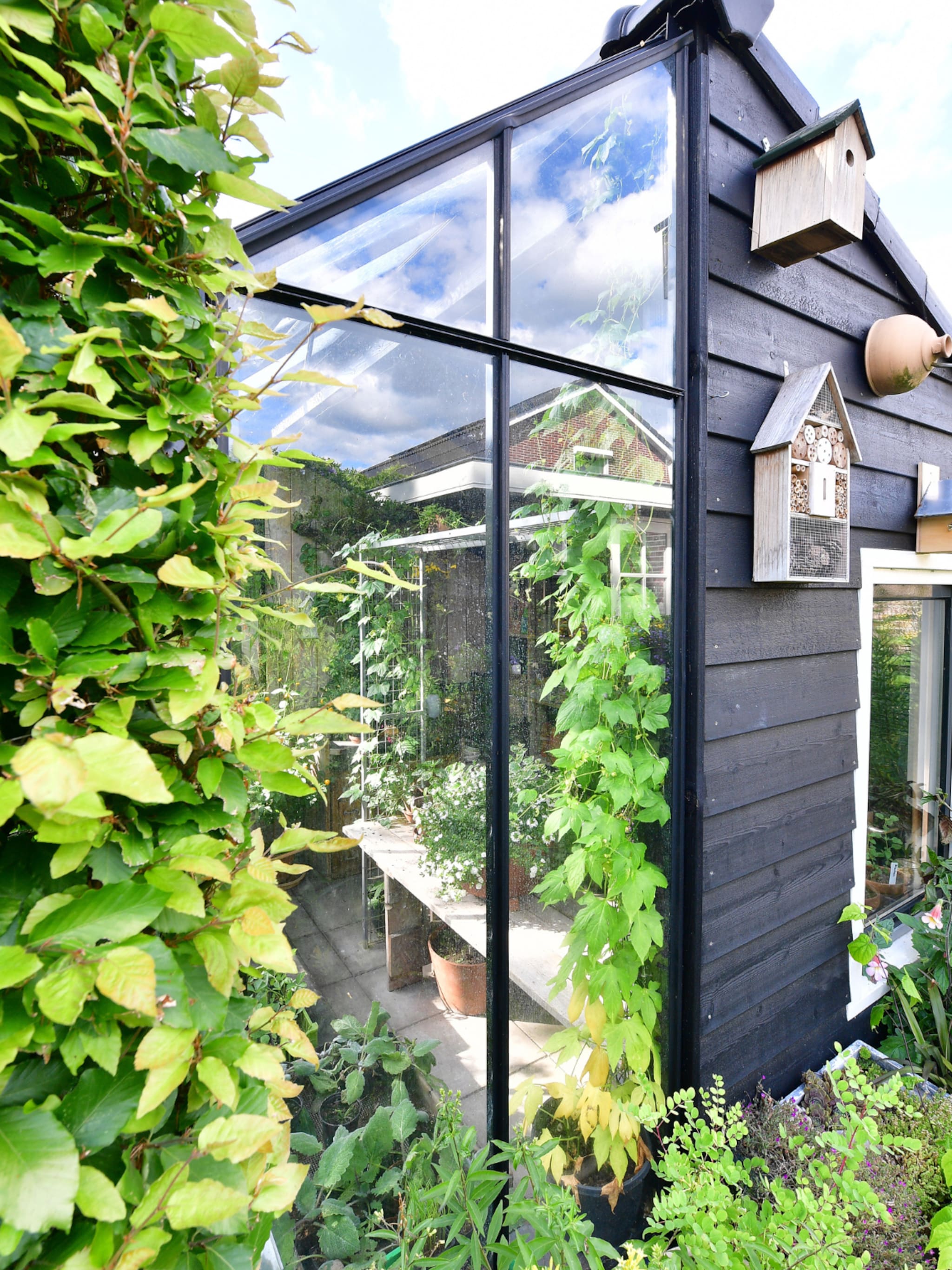 waarom meer vogels in de tuin