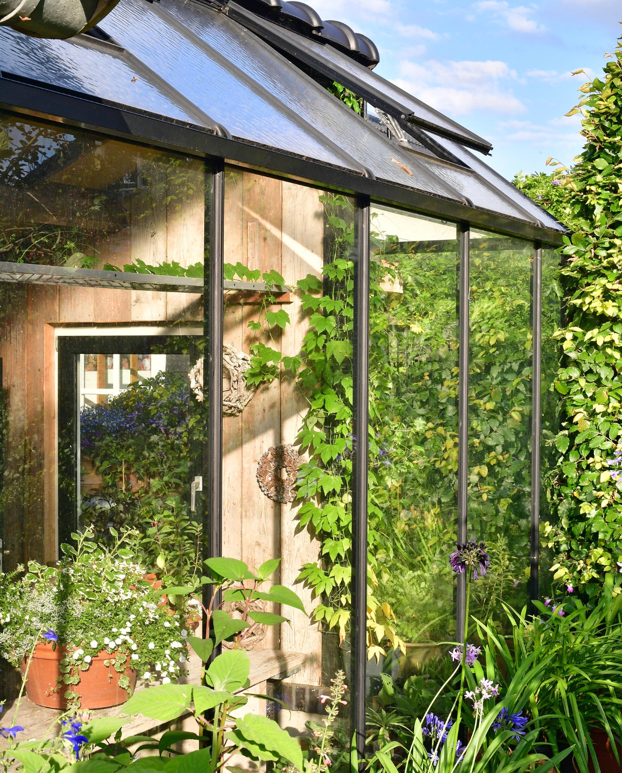 De kas is voorzien van een glazen pui en glazen dak voor zoveel mogelijk lichtopbrengst. vtwonen special Tuin 4 | fotografie Sietske de Vries | styling Ina ter Haar