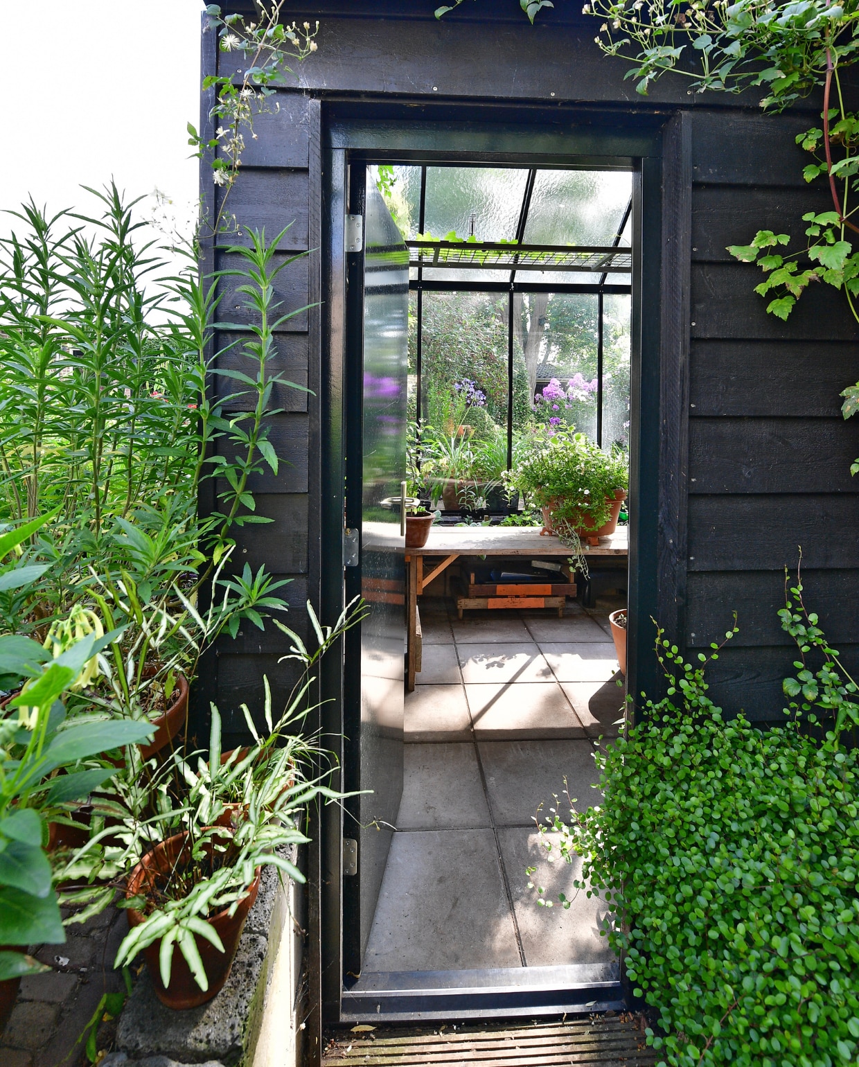 De entree van de kas. Tegen de goot groeit clematis vitalba Paul Varges, een heel sterke klimmer die een zee aan witte bloemetjes geeft. vtwonen special tuin 04 | fotografie Sietske de Vries | styling Ina ter Haar