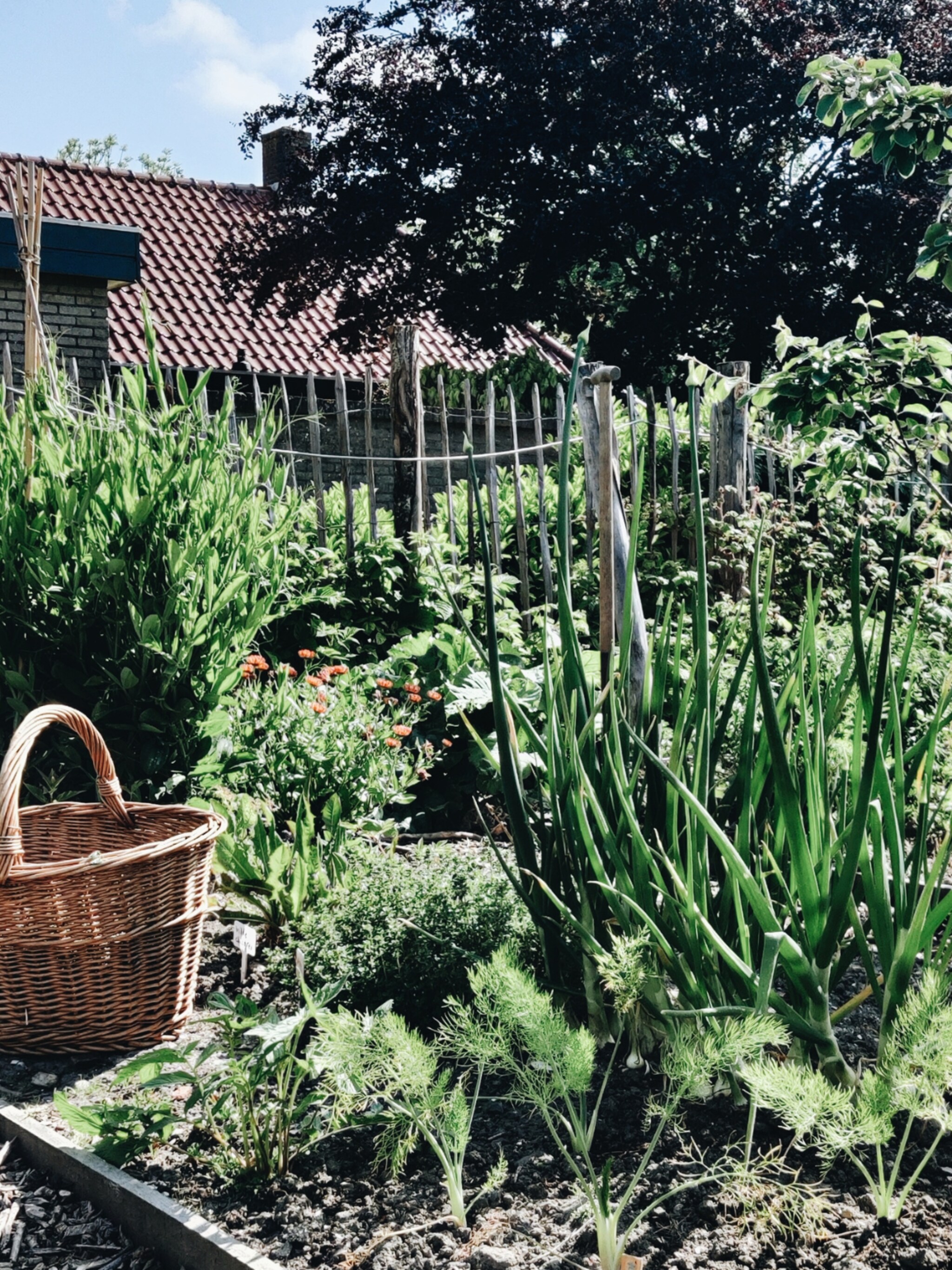 zo laat je de tuin achter als je in de zomer op vakantie gaat