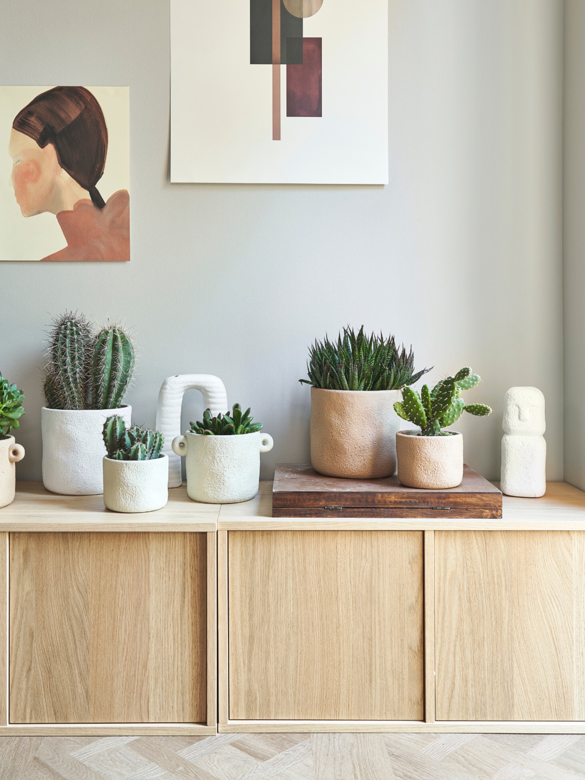 exclusief bij geselecteerde tuincentra de nieuwe vtwonen pot en plant collectie