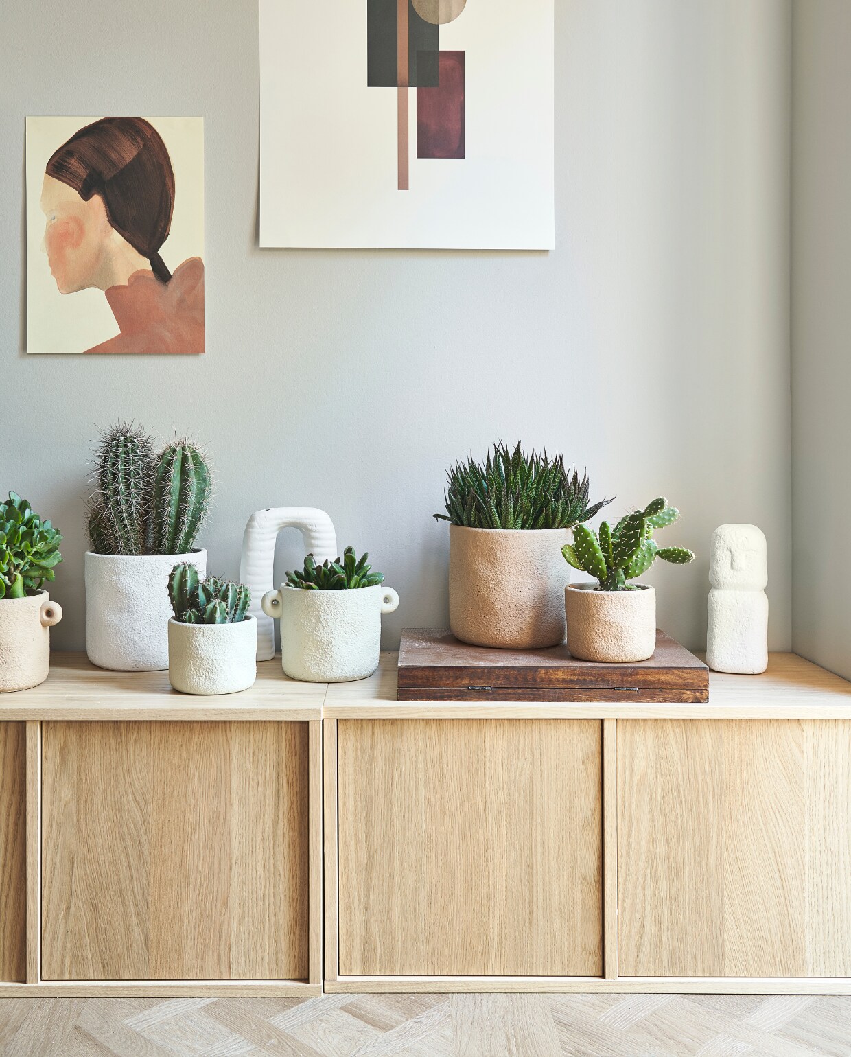 vtwonen pot &amp; plant actie, zomerse collectie met cactussen, succulenten en mediterrane planten. vtwonen pot &amp; plant tuincentra collectie