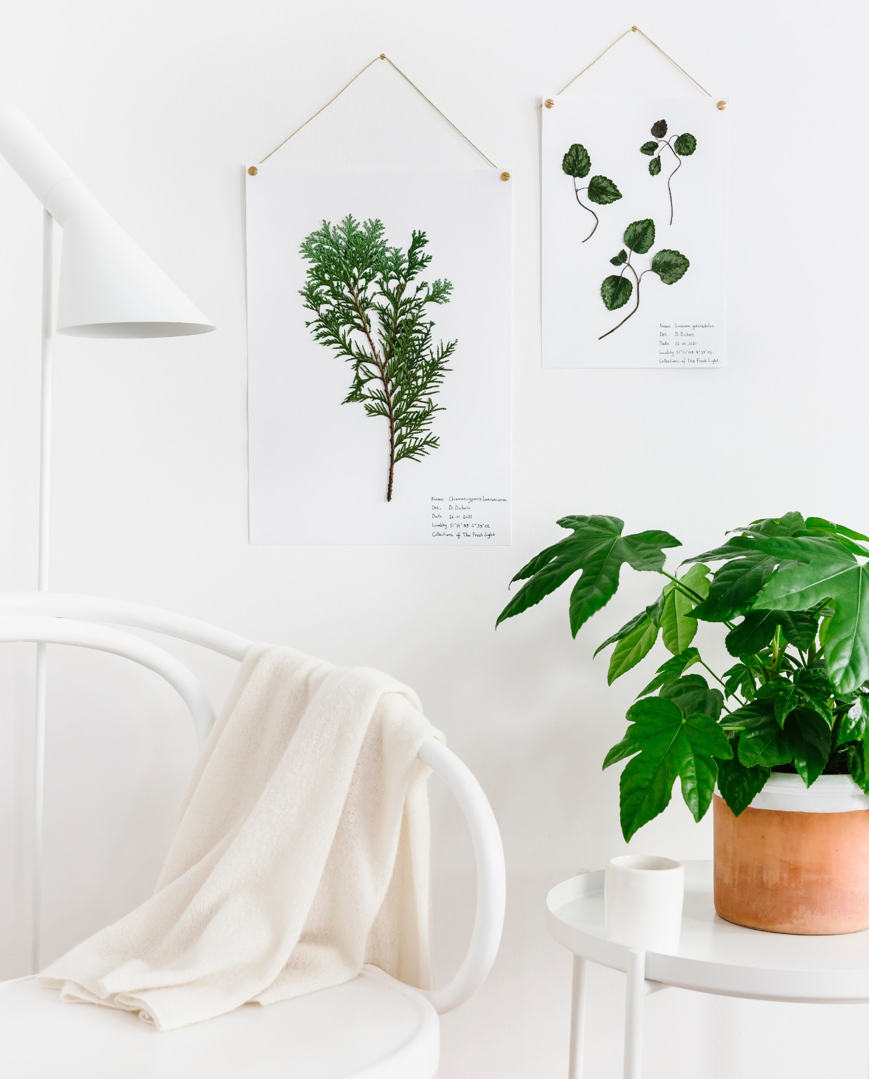 Lamp AJ € 985,- (louispoulsen.nl). Bijzettafel Gladom € 12,99 (ikea). Theekop (valpottery.be). Overig privébezit. vtwonen 12-2021 | styling en fotografie Dorothee Dubois