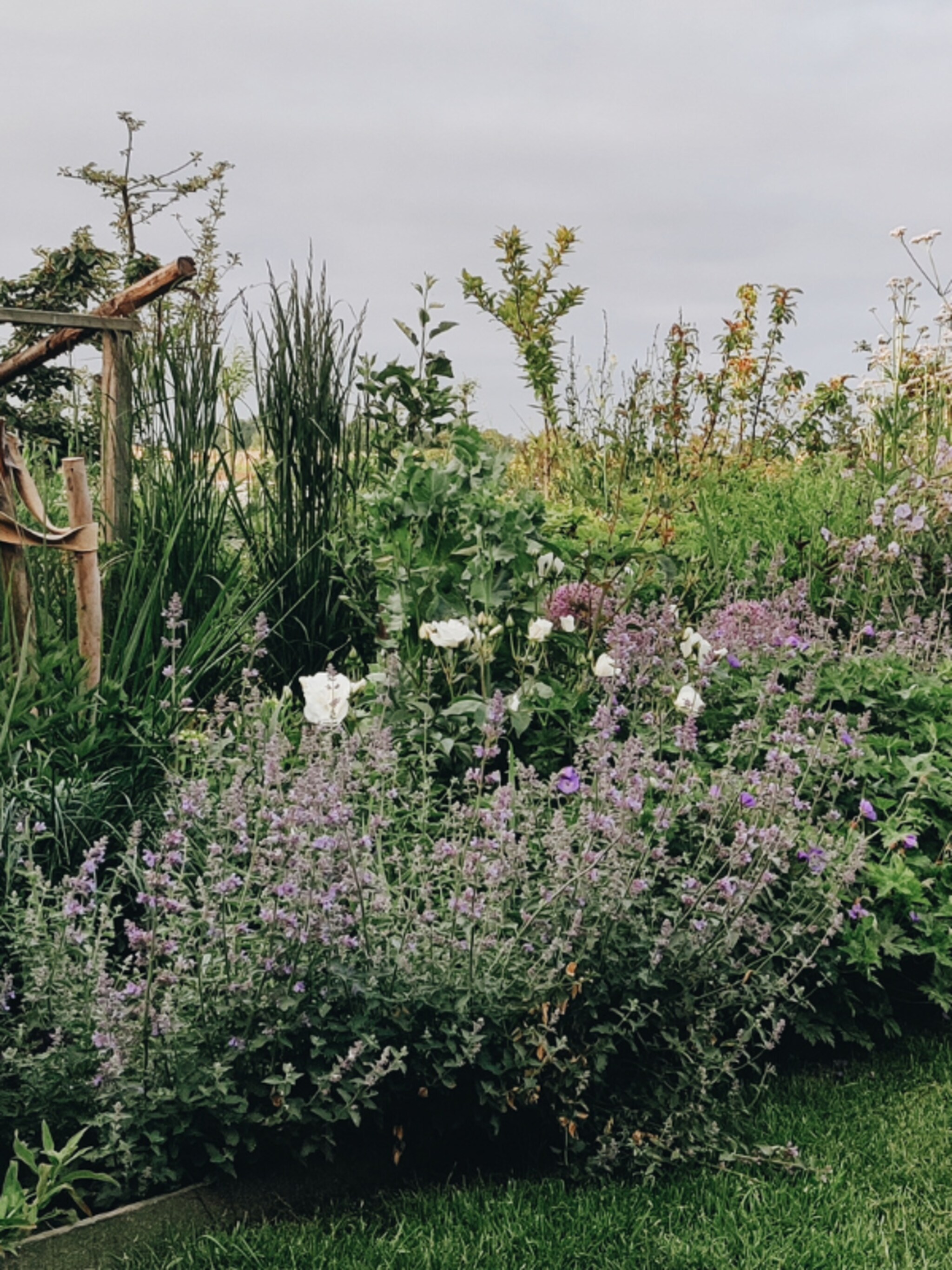 hoe ga je om met droogte in de tuin tuinexperts vivian en mark geven tips