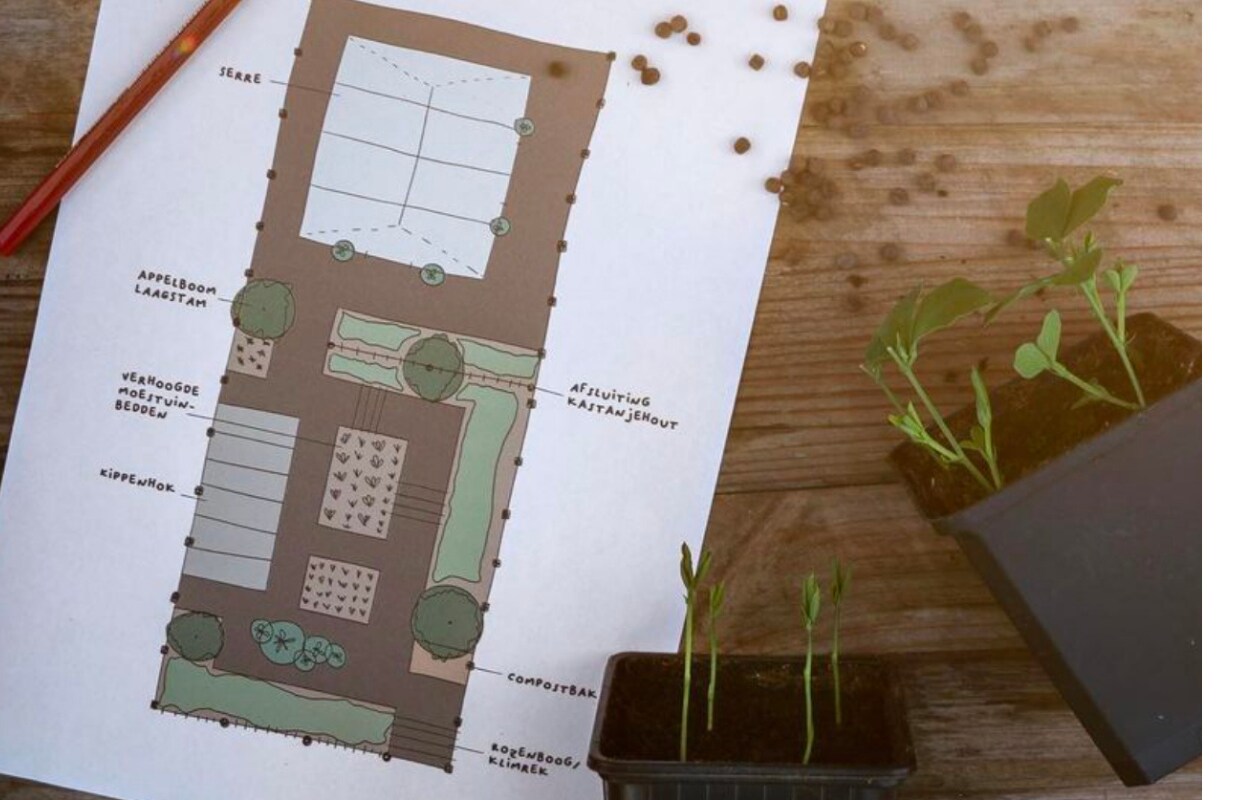 Angelo: ‘Ik begin altijd met een tuinontwerp, maar wijk ervan af als dat beter uitkomt.’ vtwonen 2022-special TUIN 5 | binnenkijker 4 | styling Ilona Jongepier | fotografie Brenda van Leeuwen