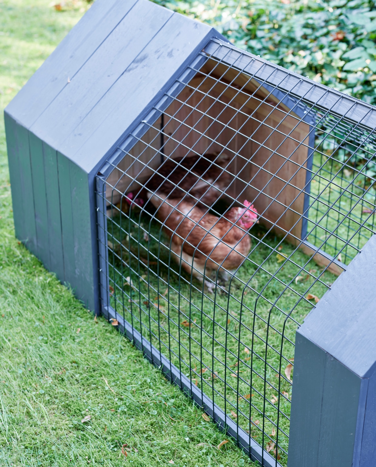 Diy kippenhok vtwonen 05-2022 TUIN special | DIY | styling Moniek Visser | fotografie Sven Benjamins