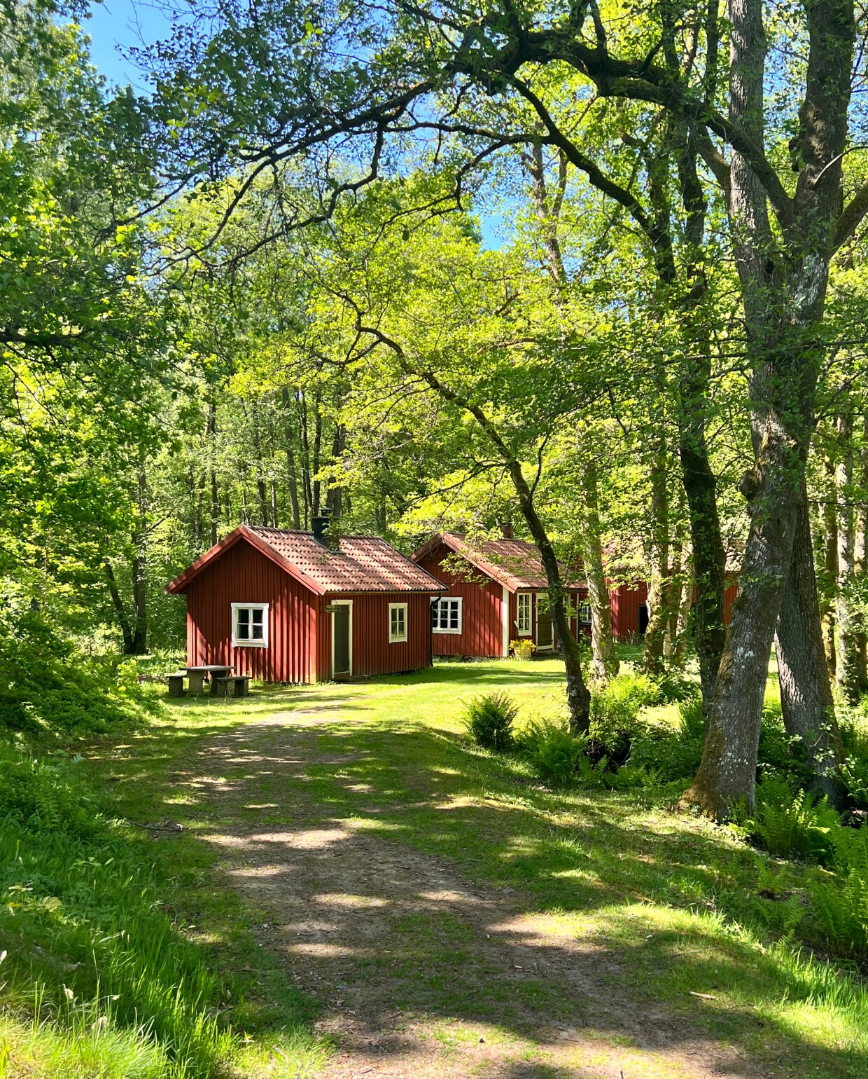 Het park van Värnamo Adeline Mans