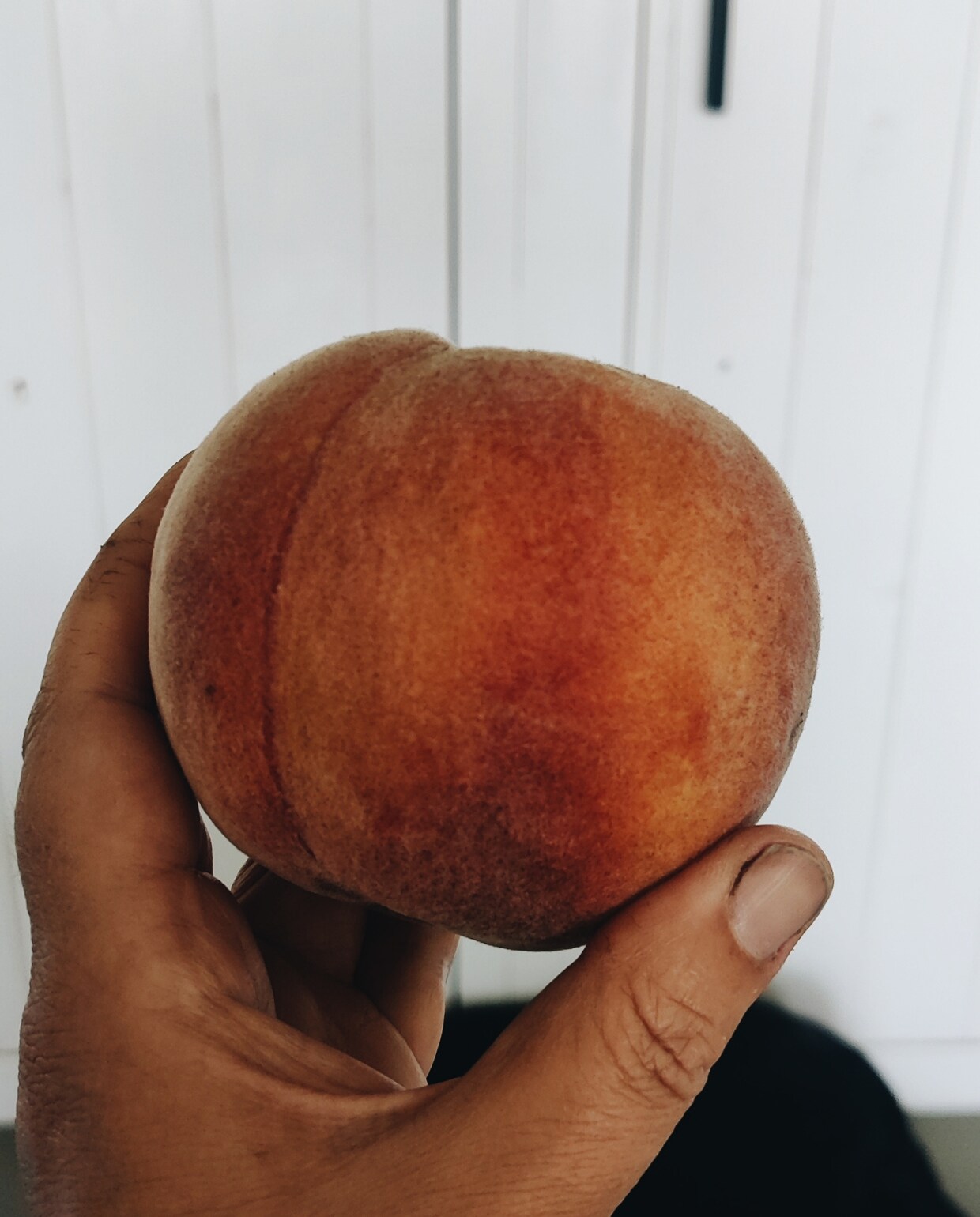 Nectarine oogt uit de moestuin van Vivian en Mark Beeld Vivian Hoebe en Mark Mulder