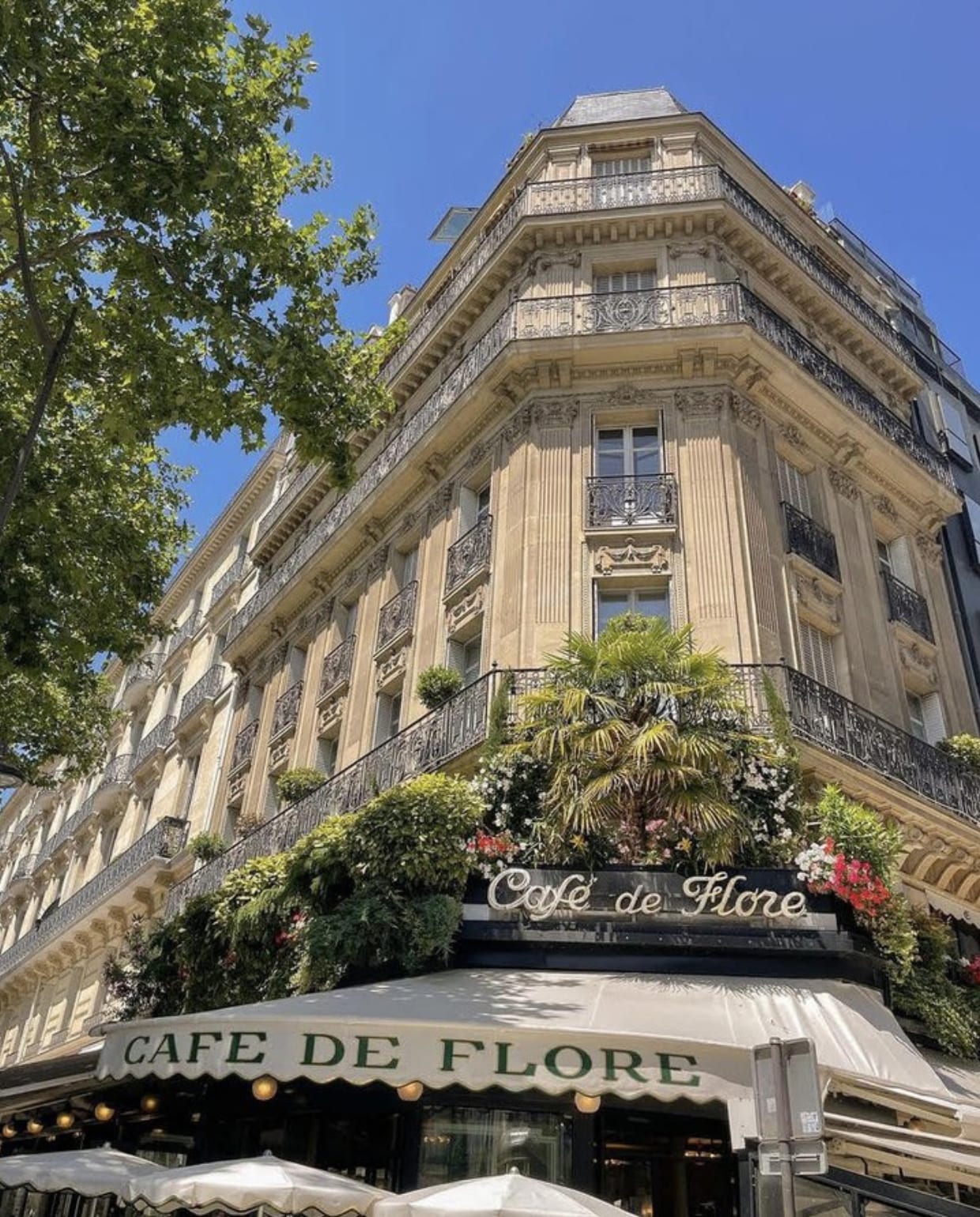 Café de Flore vtwonen 08-2023 special