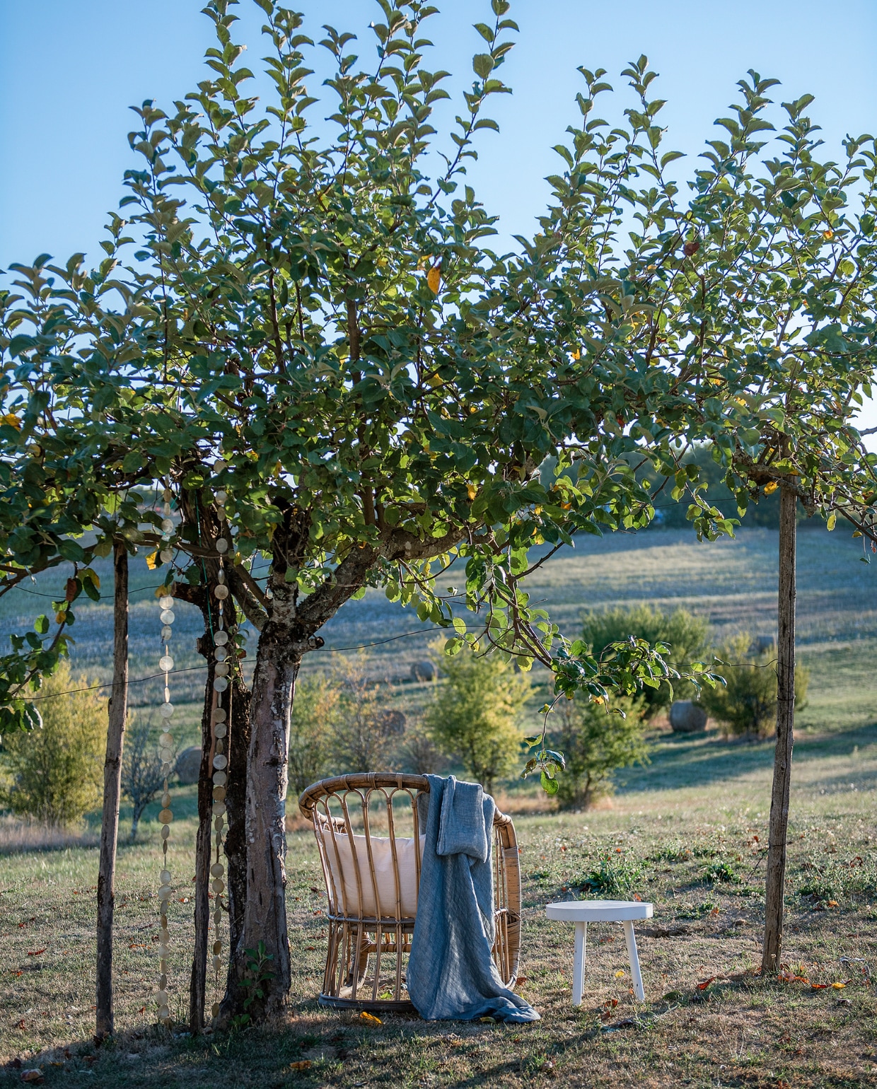 Rieten stoel Tine K Home. Plaid Marktplaats. Kruk brocante. De fruitladder stond in de schuur. Slinger onbekend. vtwonen special binnenkijken 06-2023 | fotografie Ton Bouwer | productie Monique van der Pauw