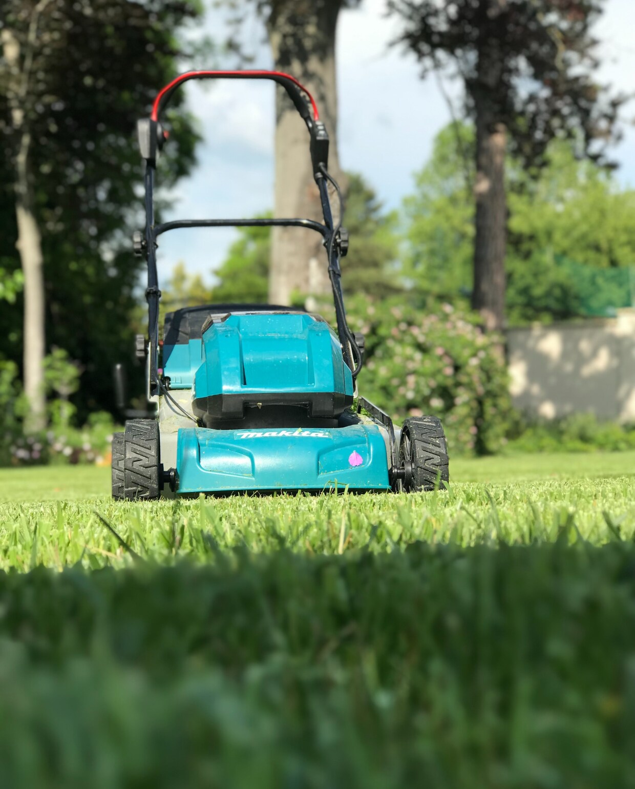Gazon grasmaaier Unsplash