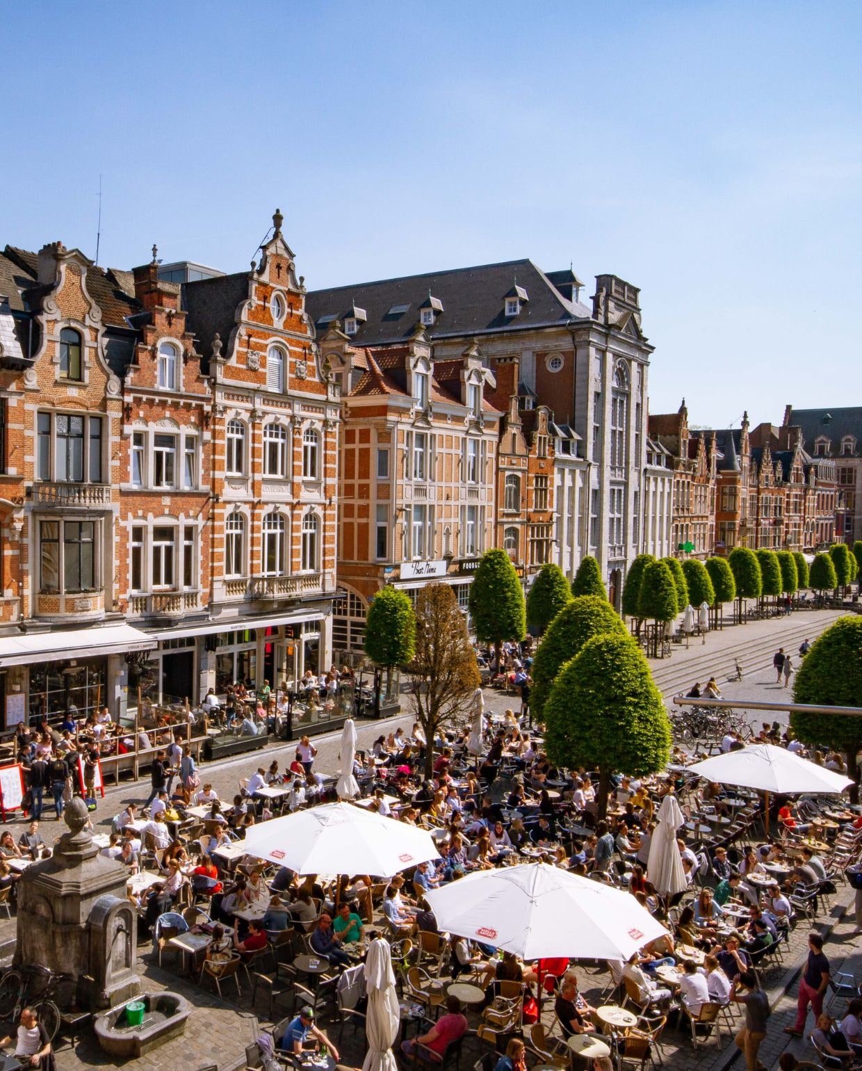 Leuven Erard Swannet