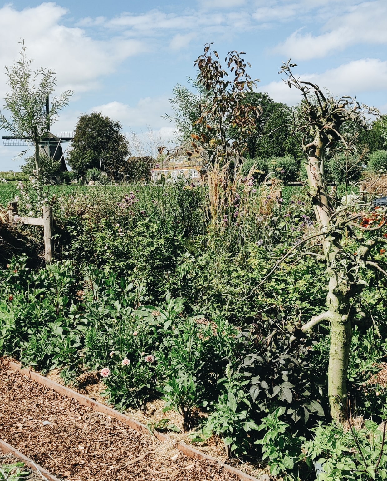 Drie moestuin bakken Beeld Vivian Hoebe en Mark Mulder