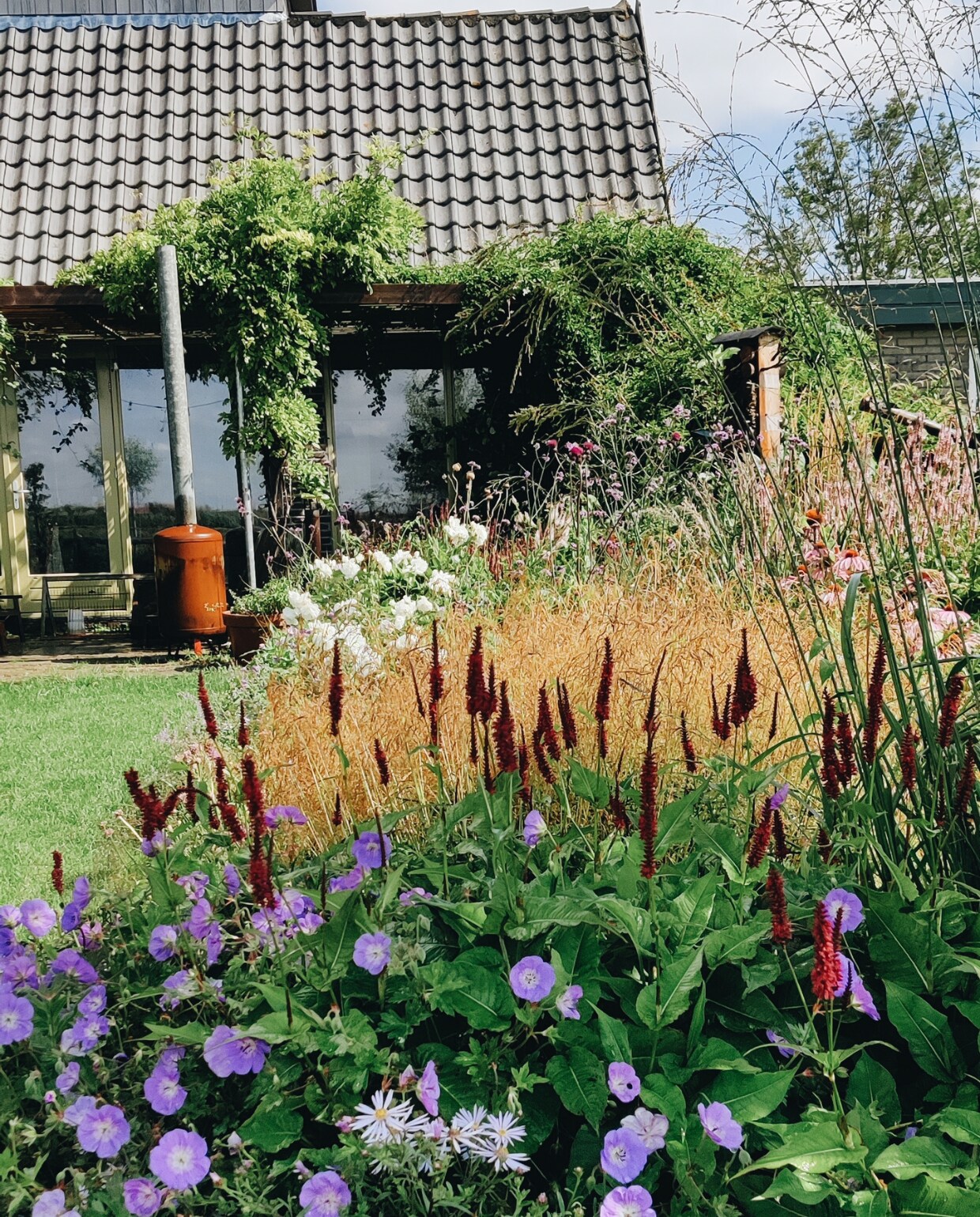 Border met persicaria's Beeld Vivian Hoebe en Mark Mulder