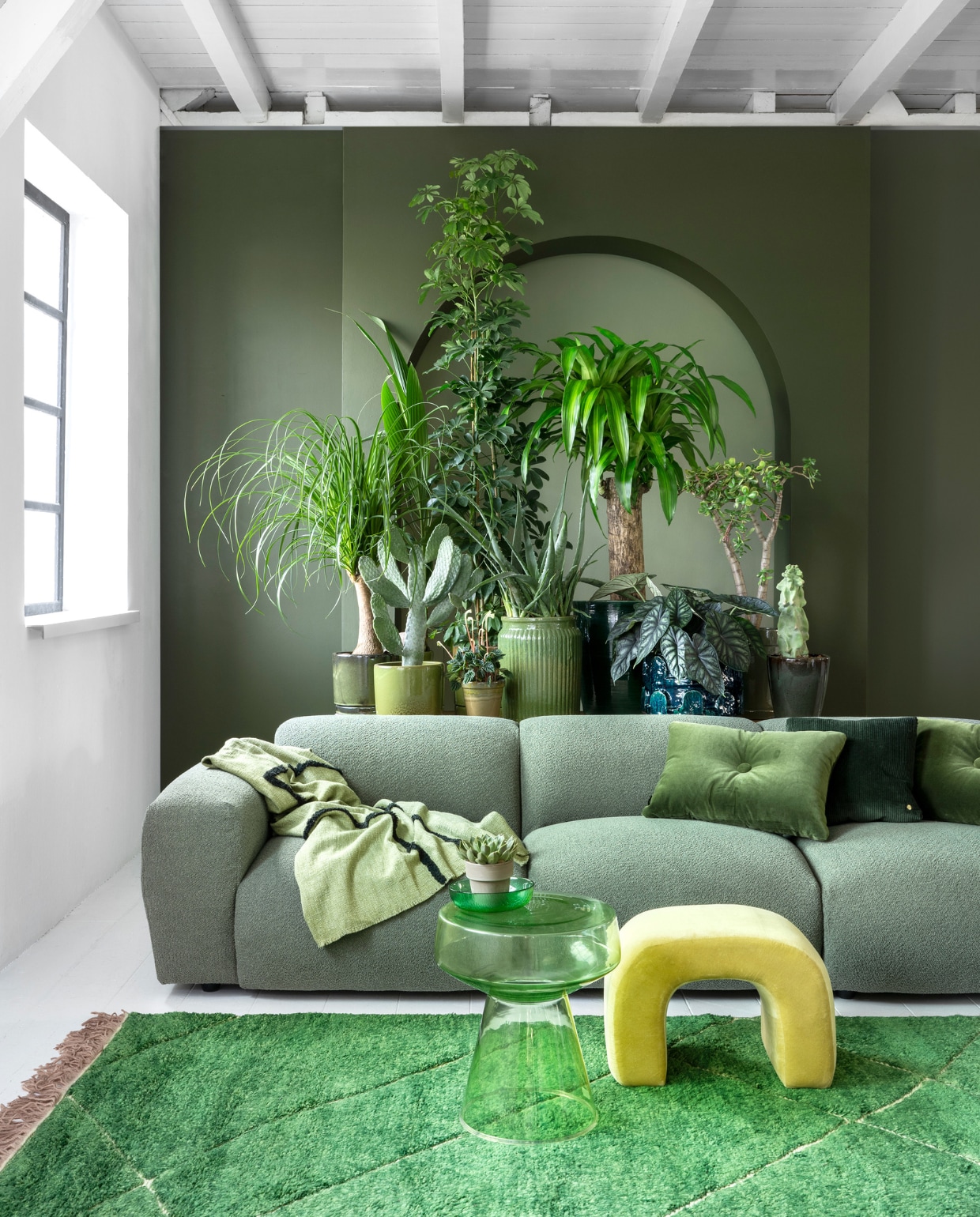 vtwonen 03 2023, groen | Plant en potten v.l.n.r.: plant Beaucarnea € 59,95, pot € 34,95, kokospalm € 14,95, pot € 24,95, cactus € 75,-, pot € 39,95, plant Peperomia € 6,95 , pot € 9,95, plant Schefflera € 100,-, pot € 39,95, plant Aloë Vera € 59,95, pot € 39,95, plant Dracena € 150,- (bydennis.nl), pot € 201,- (loods5.nl), plant Alocasia € 50,- (bydennis.nl), pot € 159,- (loods5.nl), plant Crassula € 75,-, pot € 34,95, cactusplant € 69,95, pot € 39,95 (bydennis.nl). Op bijzettafel: plant € 6,95, pot € 5,95 (bydennis.nl). Donkergroene muurverf nr.76, lichtgroene muurverf in de boog nr. 41 van Lab Paint, per liter € 48,- (vestingh.nl). Bank Cosy, 295x97x70 cm (bxdxh) € 3238,-, ribfluwelen kussen € 79,- (loods5.nl). Vloerkleed van HKliving, 280x180 cm € 1295,-, glazen bijzettafel van HKliving € 229,-, plaid van HKliving € 74,95, glazen kom van HKliving € 5,99, velours kussen van Hay € 95,- (vtwonen.nl). Gele fluwelen kruk € 249,- (urbannatureculture.com). vtwonen 03 2023 | styling Marianne Luning | fotografie Stan Koolen