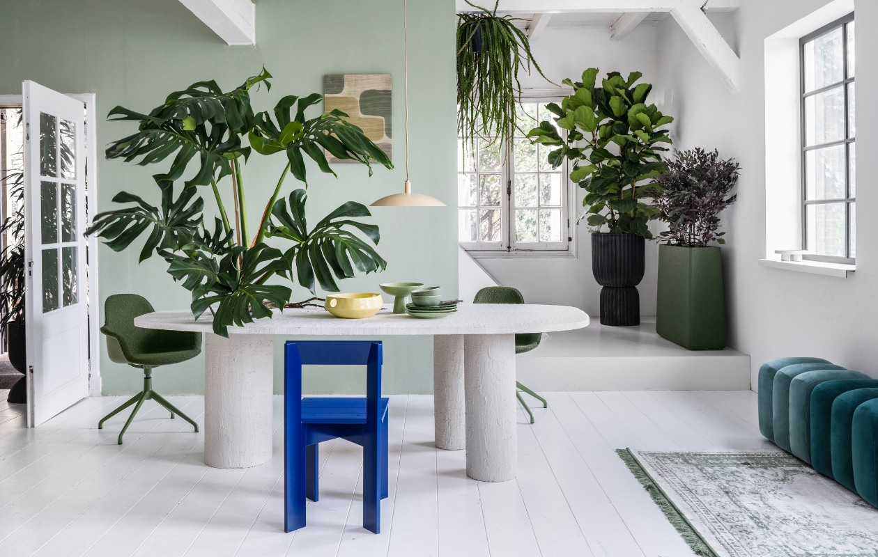 Plant op tafel Monstera € 195,-, hangplant Rhipsalis € 44,95, plant achter Ficus Lyrata € 195,-, pot, 45x88 cm (Øxh) € 295,-, plant Hami € 75,-, pot, 80x25x80 cm (bxdxh) € 495,-, achter de openslaande deur treurvijg € 125,- (bydennis.nl). Muurverf in nr. 58 van Lab Paint, 1 liter € 48,- (vestingh.nl). Tafel, prijs en maat op aanvraag (com-anders.nl). Vloerkleed van Zuiver, 240x170 cm, hanglamp van Urban Nature Culture € 119,- (vtwonen.nl). Draaibare stoel Albert Kuip € 349,- (zuiver.nl). Houten stoel Ark Chair van Ferm Living, 40x78x45,5 cm € 199,- (flinders.nl). Zitelementen € 215,- (loods5.nl). Wandkleed € 81,80 (urbannatureculture.nl). Keramieken geribbeld bord, set van 2 € 22,99,-, gespikkelde dinerborden, set van 2 € 26,99, groene keramieken schaal op voet van HKliving € 54,95 (vtwonen.be), gele fruitschaal van Urban Nature Culture € 59,95 (urbannatureculture.com). vtwonen 03-2023 | styling Marianne Luning | fotografie Stan Koolen