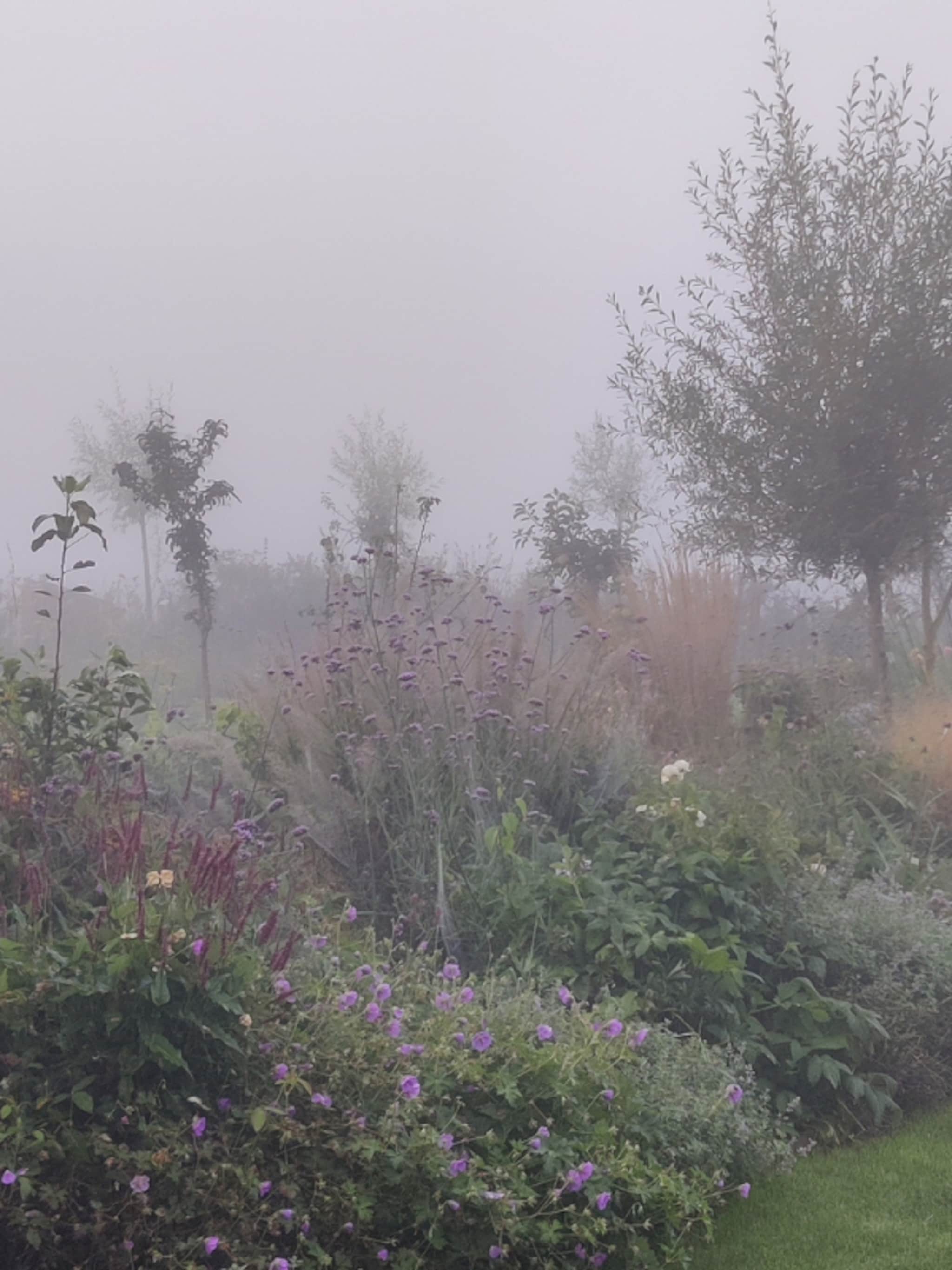 tips en ideeen van onze tuinexperts deze schatten van de natuur brengt de herfst met zich mee