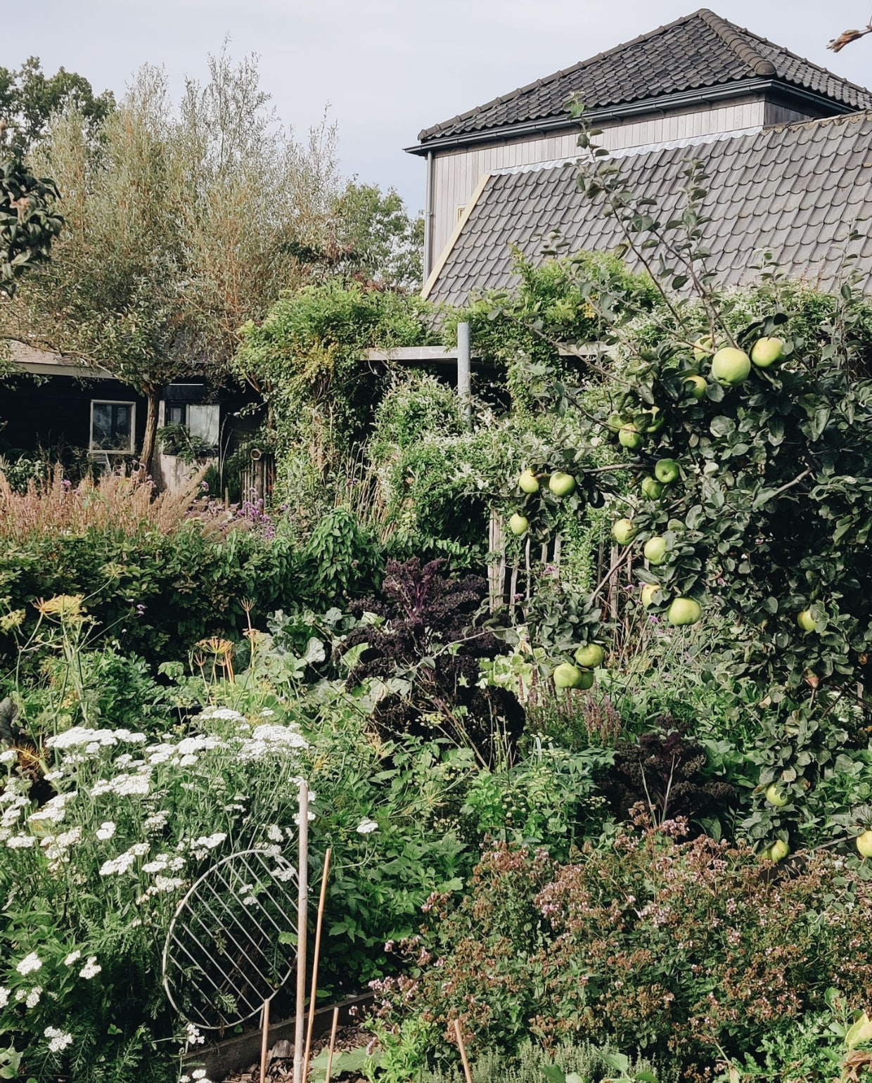 Moestuin Vivian Hoebe en Mark Mulder