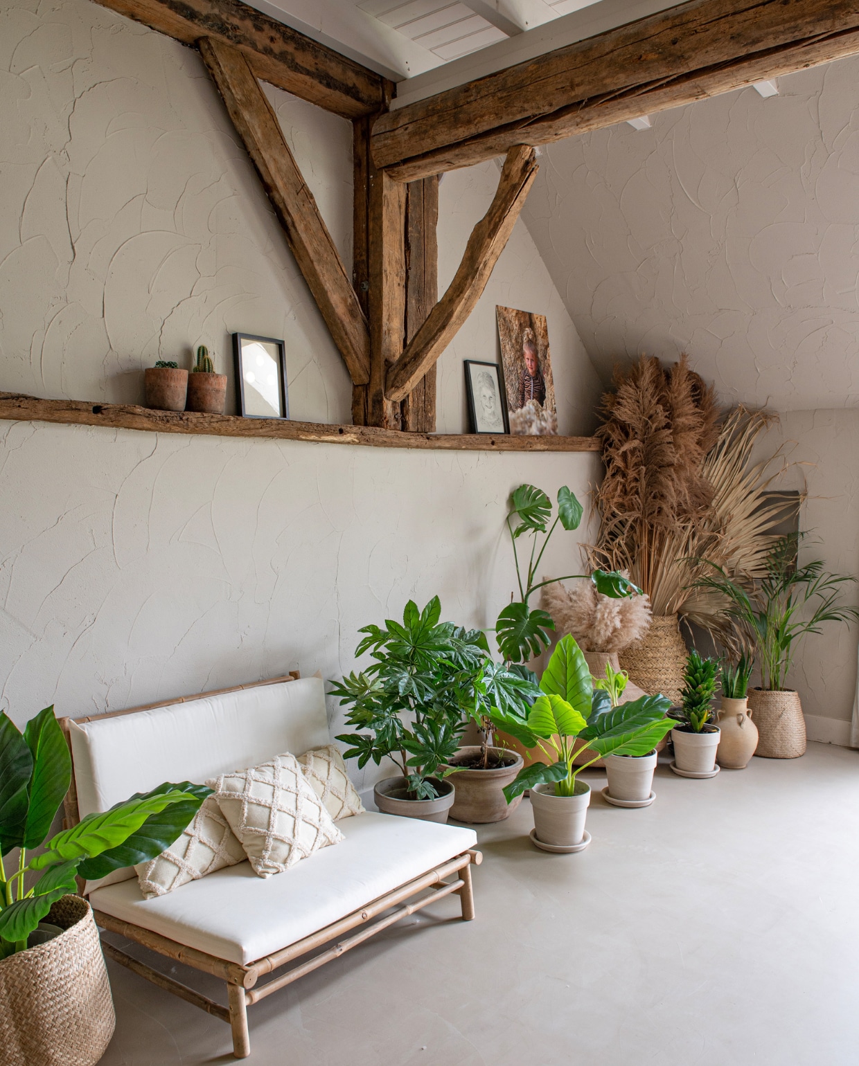 Bank Xenos, kussens Action, plantenpotten tuincentrum. Overig onbekend. vtwonen 11-2023 | productie De Binnenkijkers | styling Jeske Weel | fotografie Caroline Coehorst