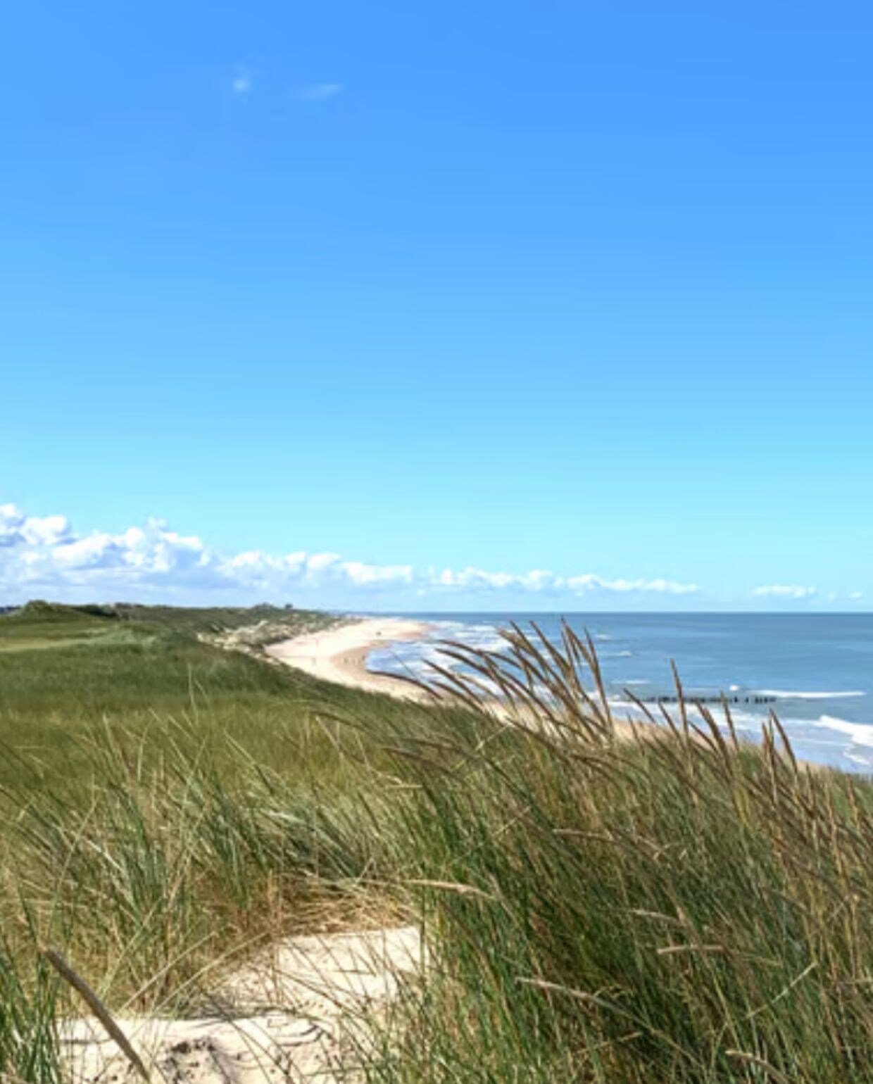 Schoorlse Duinen Natuurhuisje