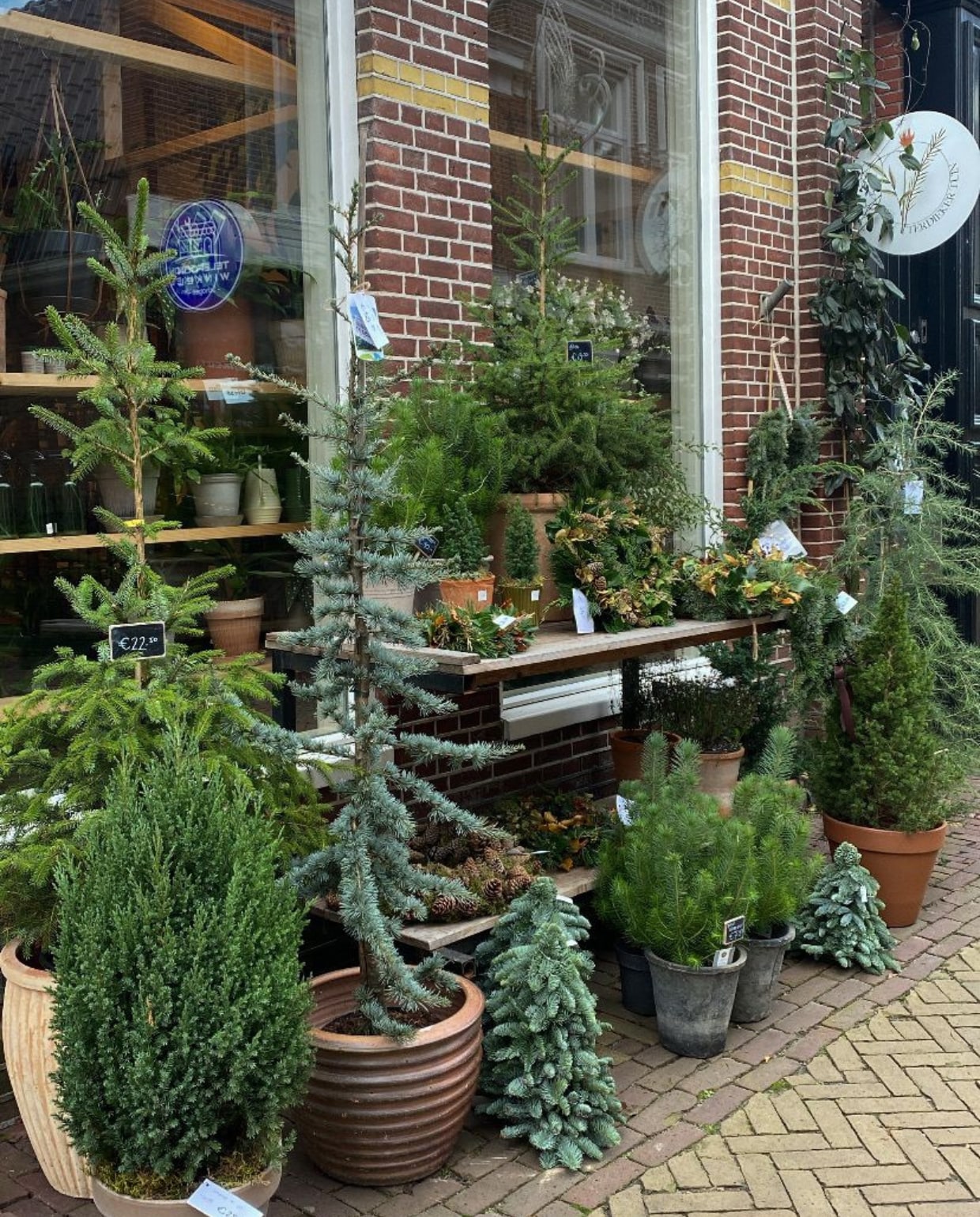 Planten bij Terdiekertuin. @terdiekertuin op Instagram