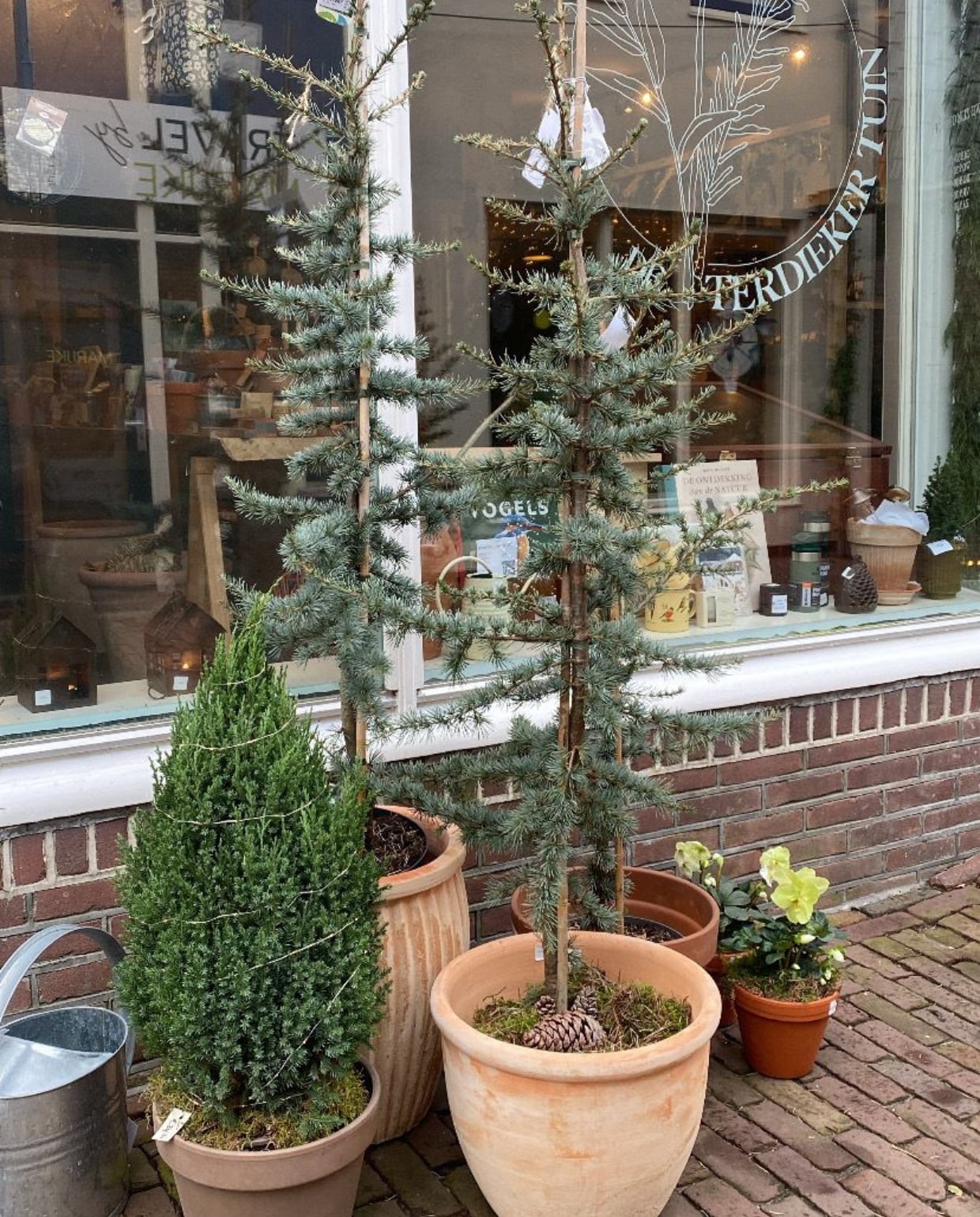 Planten bij Terdiekertuin. @terdiekertuin op Instagram
