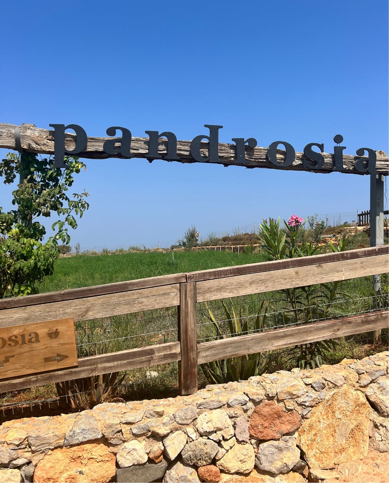 De aloë vera-boerderij Pandrosia in het binnenland van Kos Adeline Mans