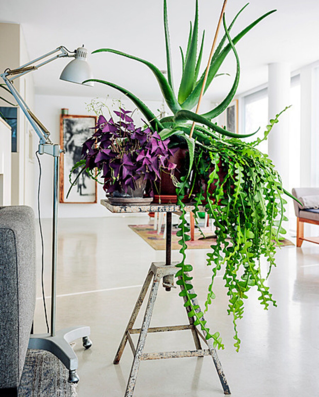Productinformatie onbekend. vtwonen 01-2024 | tekst Ymke van Zwoll | fotografie Ernie Enkelaar