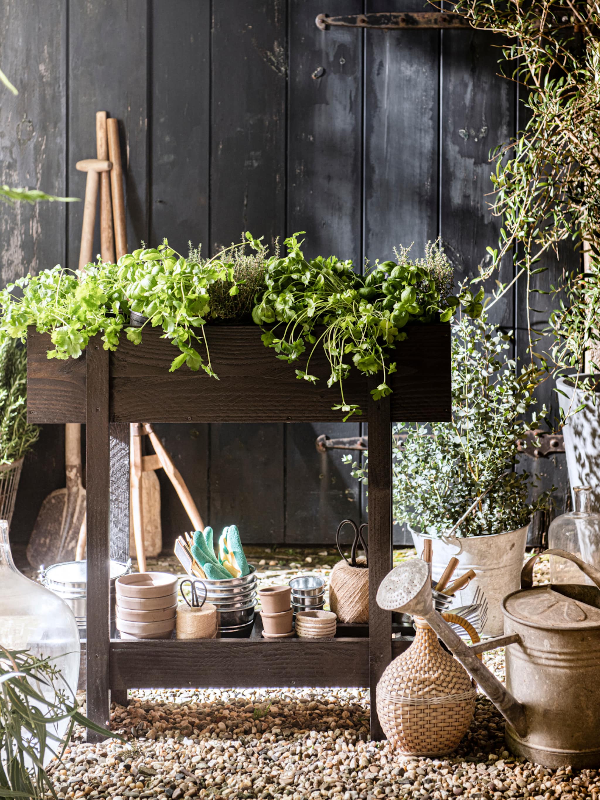 de mooiste winterharde en wintergroene planten