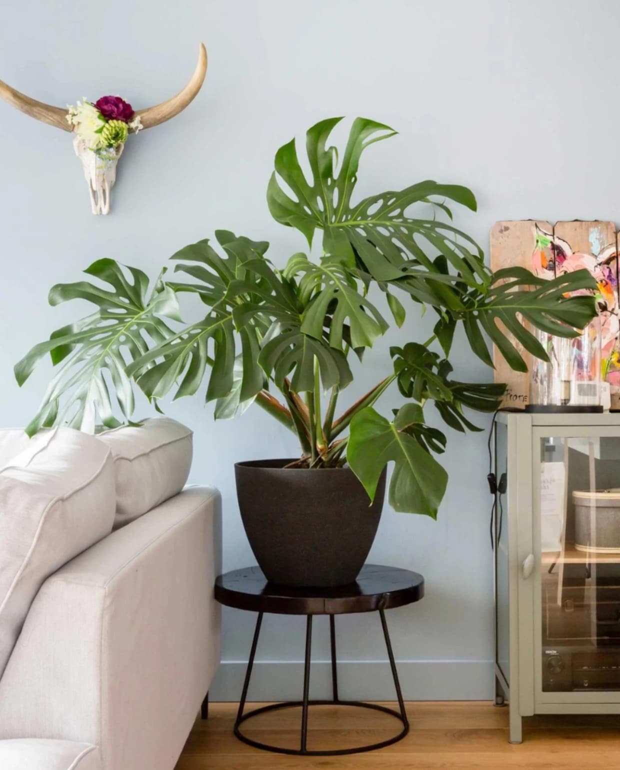 Bijzettafel: Woonboulevard Poortvliet XXL, Plant ‘Monstera’: Scheepstra Bloemen, Schildering op hout: privébezit, Vitrinekastje: Woonboulevard Poortvliet XXL, Koffers: privébezit, Stolp met lamp: Woonboulevard Poortvliet XXL, Vaas: vtwonen.nl, ‘Zakje met licht’: vtwonen.nl vtwonen verbouwen of verhuizen seizoen 2 aflevering 5 |  styling Eva van de Ven | fotografie Barbara Kieboom