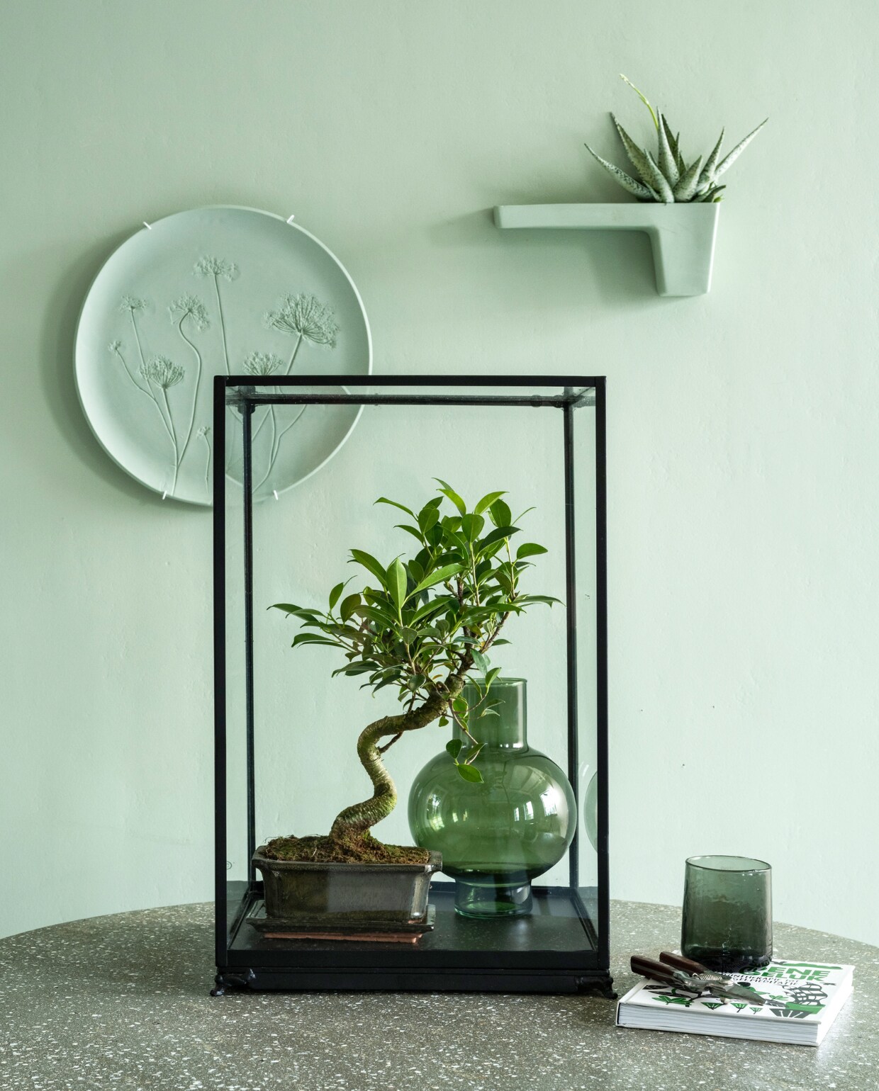 Pot met Bonsai plant, vetplant, glazen vitrinekastje (bydennis.nl).Tafel, 100x75 cm (Øxh) (lanena-home.com). Vaas, glas (urbannatureculture.com). Porseleinen muurbord XL, porseleinen wandplank (harmenelke.nl). Boek Het groene geluk (dewereldvansnor.nl). Muurverf in nr. 58 van Lab Paint (vestingh.nl). Tuinschaar onbekend. vtwonen 03-2023 | styling Marianne Luning | fotografie Stan Koolen