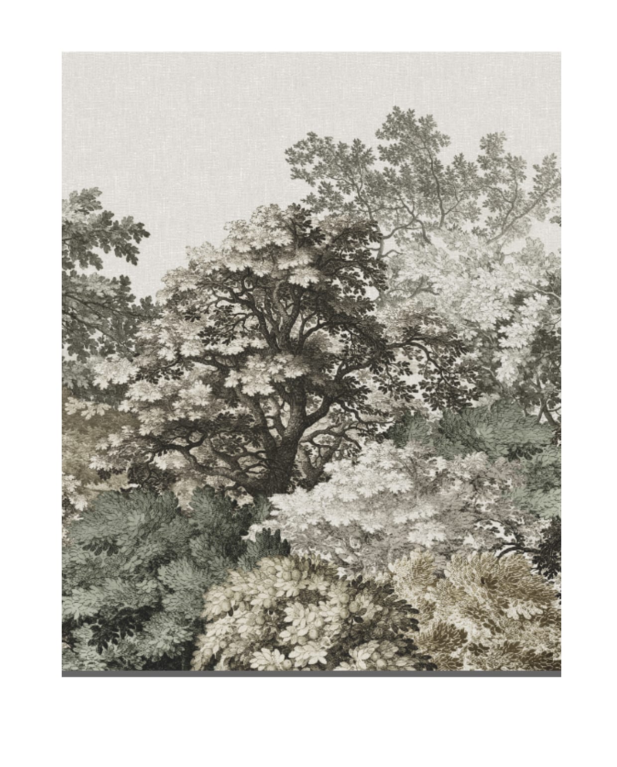 Fotobehang Morris (dessin 118748) Karwei