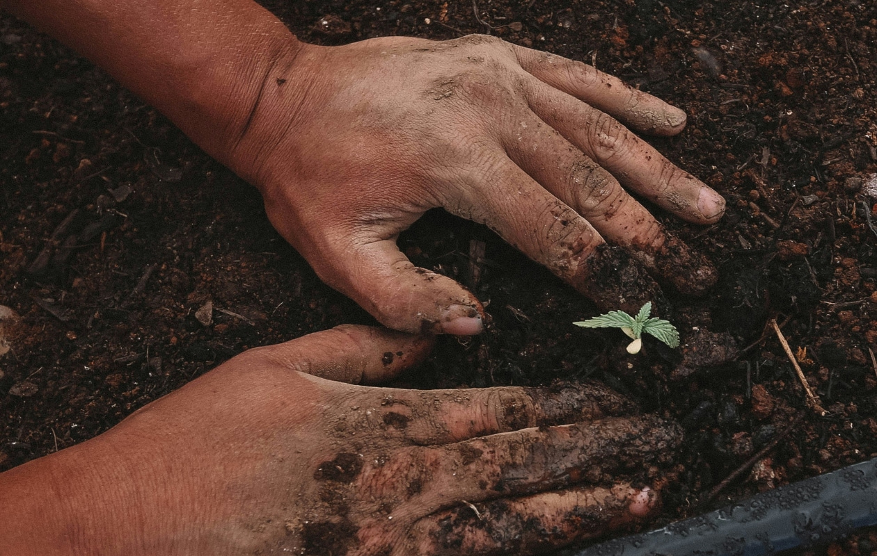 Sfeerbeeld GreenForce Staffing via Unsplash