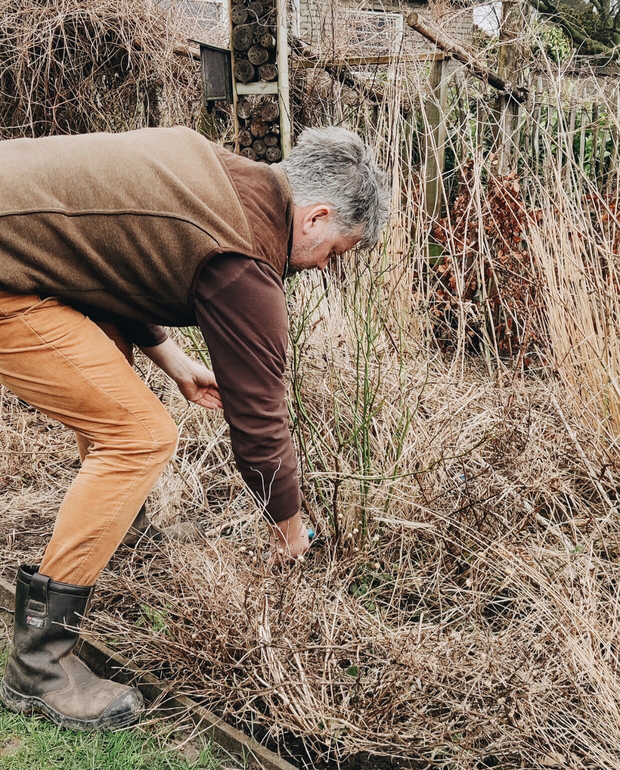 Mark snoeit een struikroos in de vaste plantenborder. Vivian Hoebe en Mark Mulder