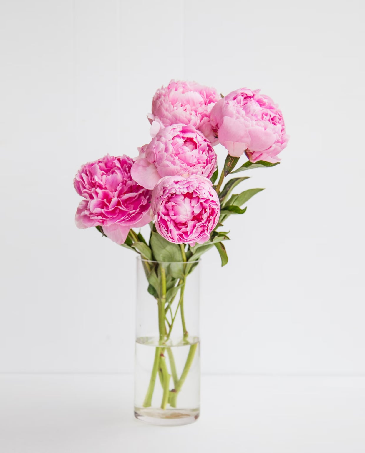 Pioenrozen, bloemen Rebecca via Unsplash