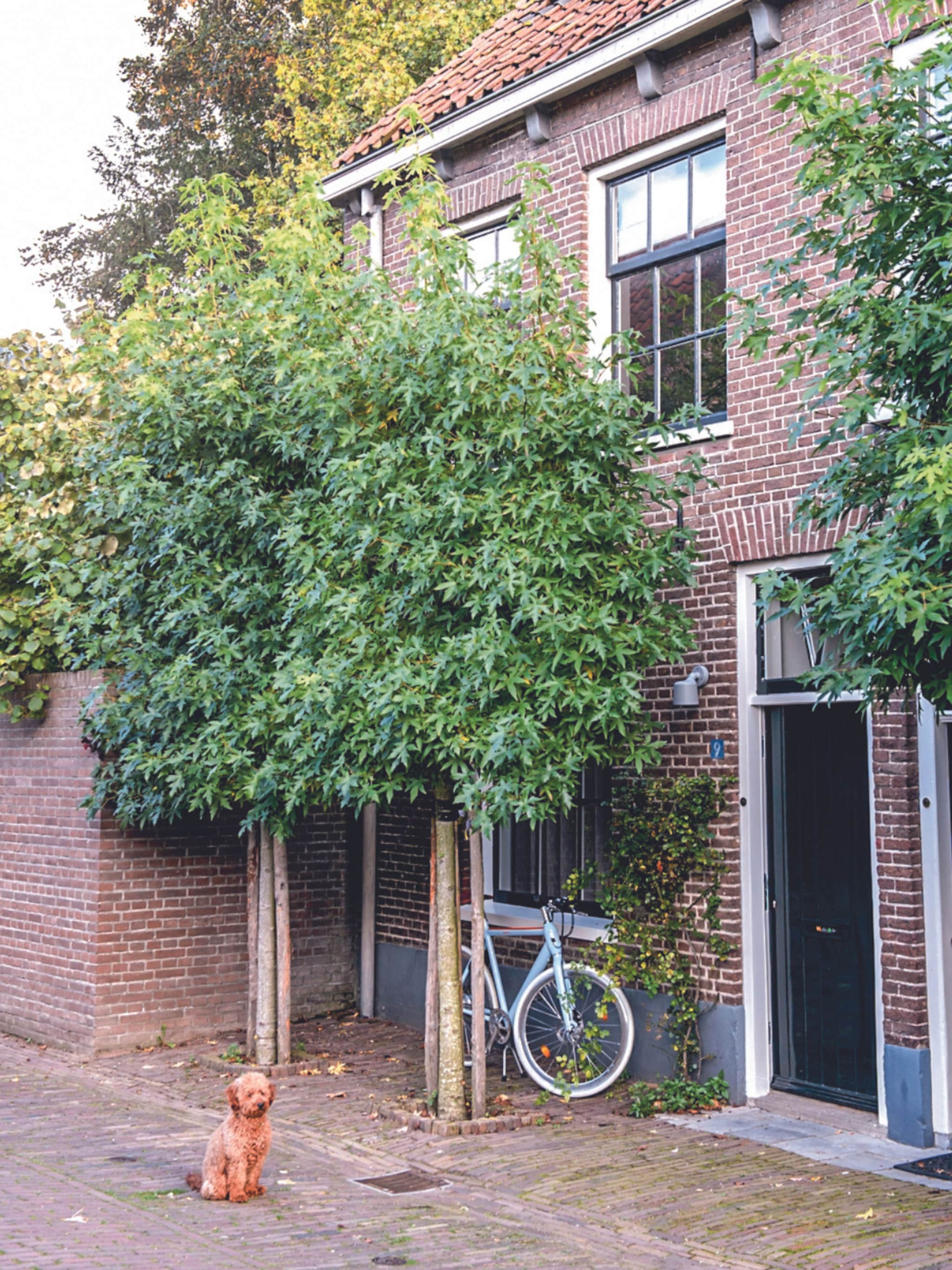 twee onder een kapwoning make over