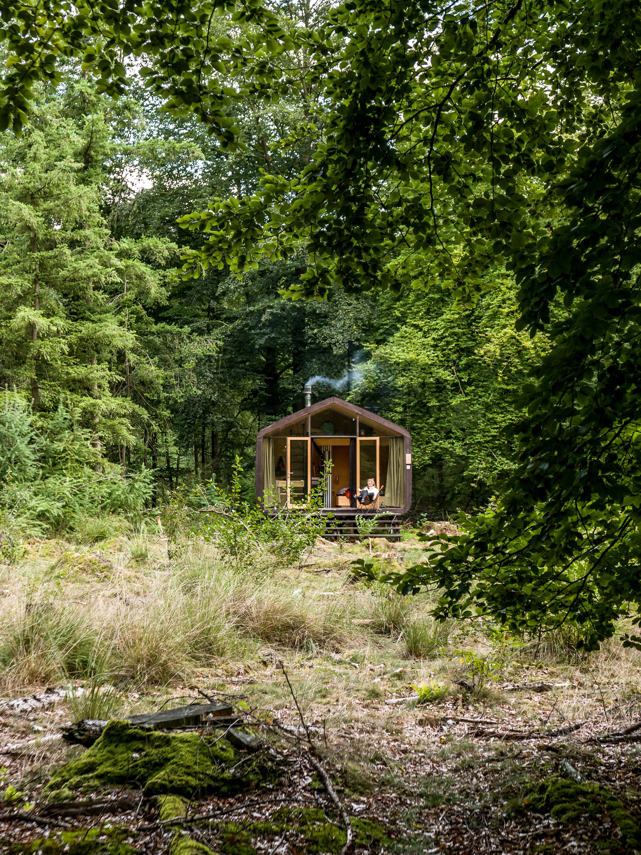 overnachten boomhut belgie nederland
