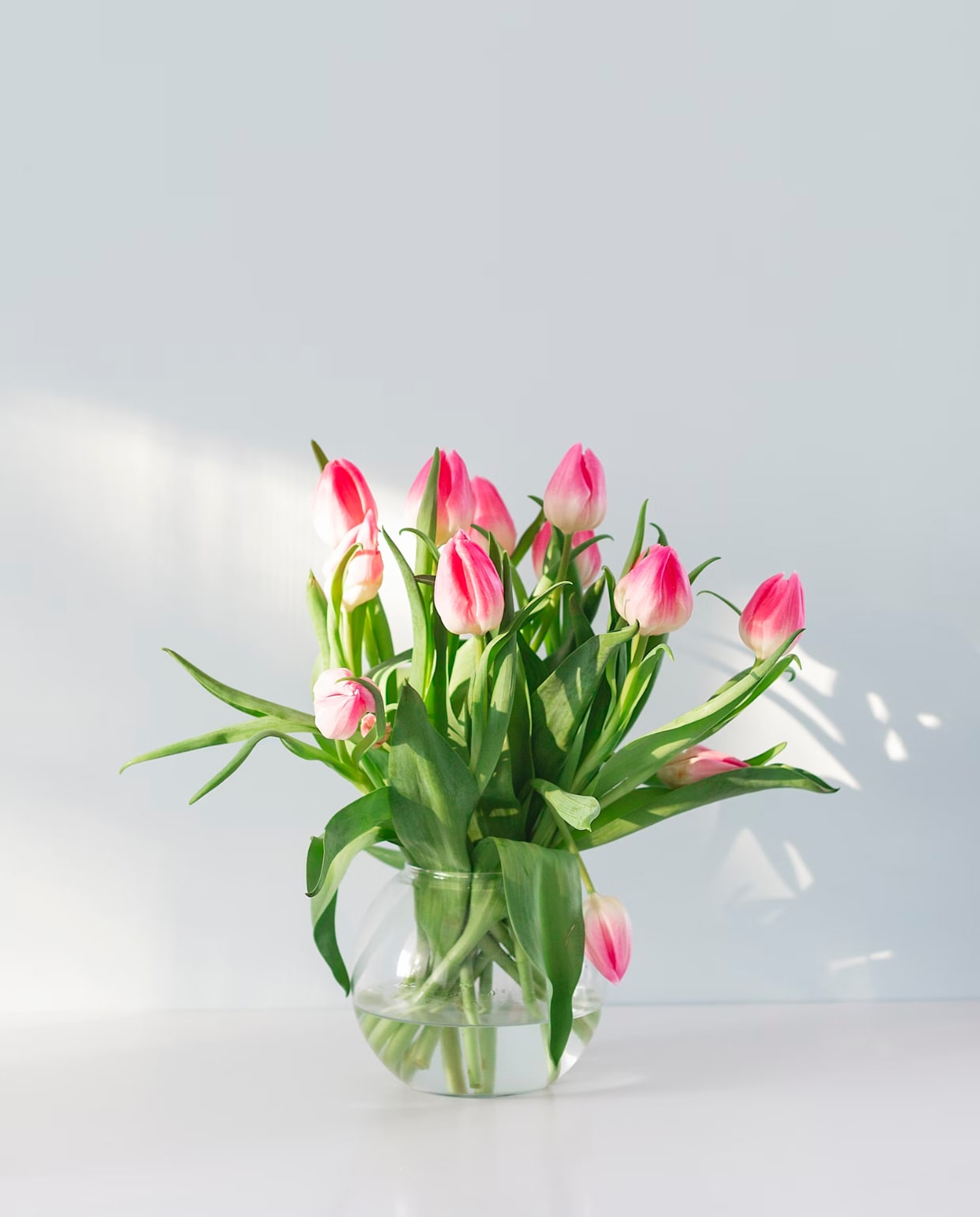 tulpen, bloemen Uljana Borodina via Unsplash