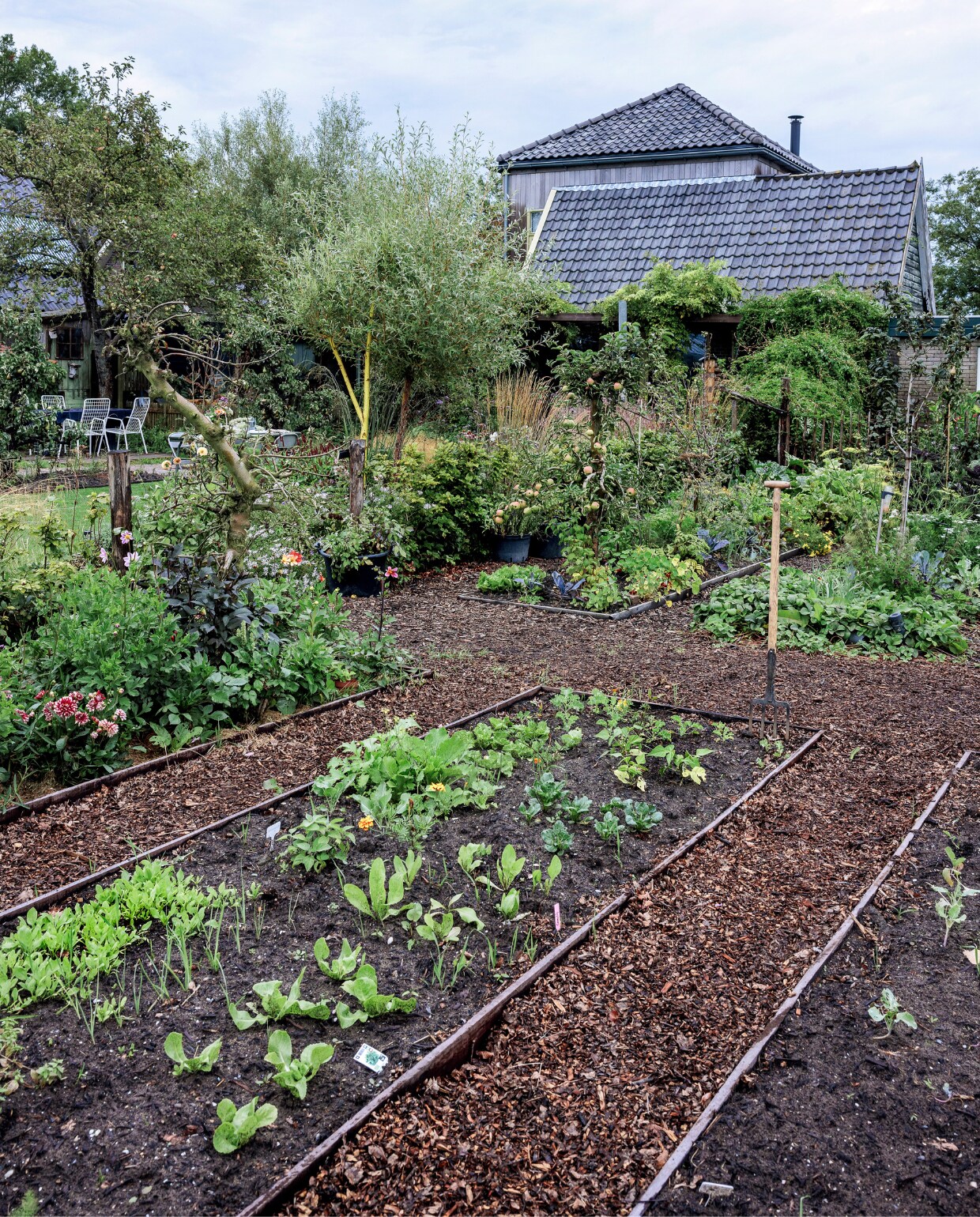 In de moestuin kozen Mark en Vivian voor bakken van hardhouten planken. Hieromheen liggen paden van houtsnippers, een restproduct dat mooi natuurlijk oogt en waardoor de paden niet modderig worden. In de bakken staan andijvie, groenlof, afrikaantjes en verschillende kruiden. vtwonen tuinspecial 09-2024 | styling Fietje Bruijn | fotografie Ernie Enkelaar