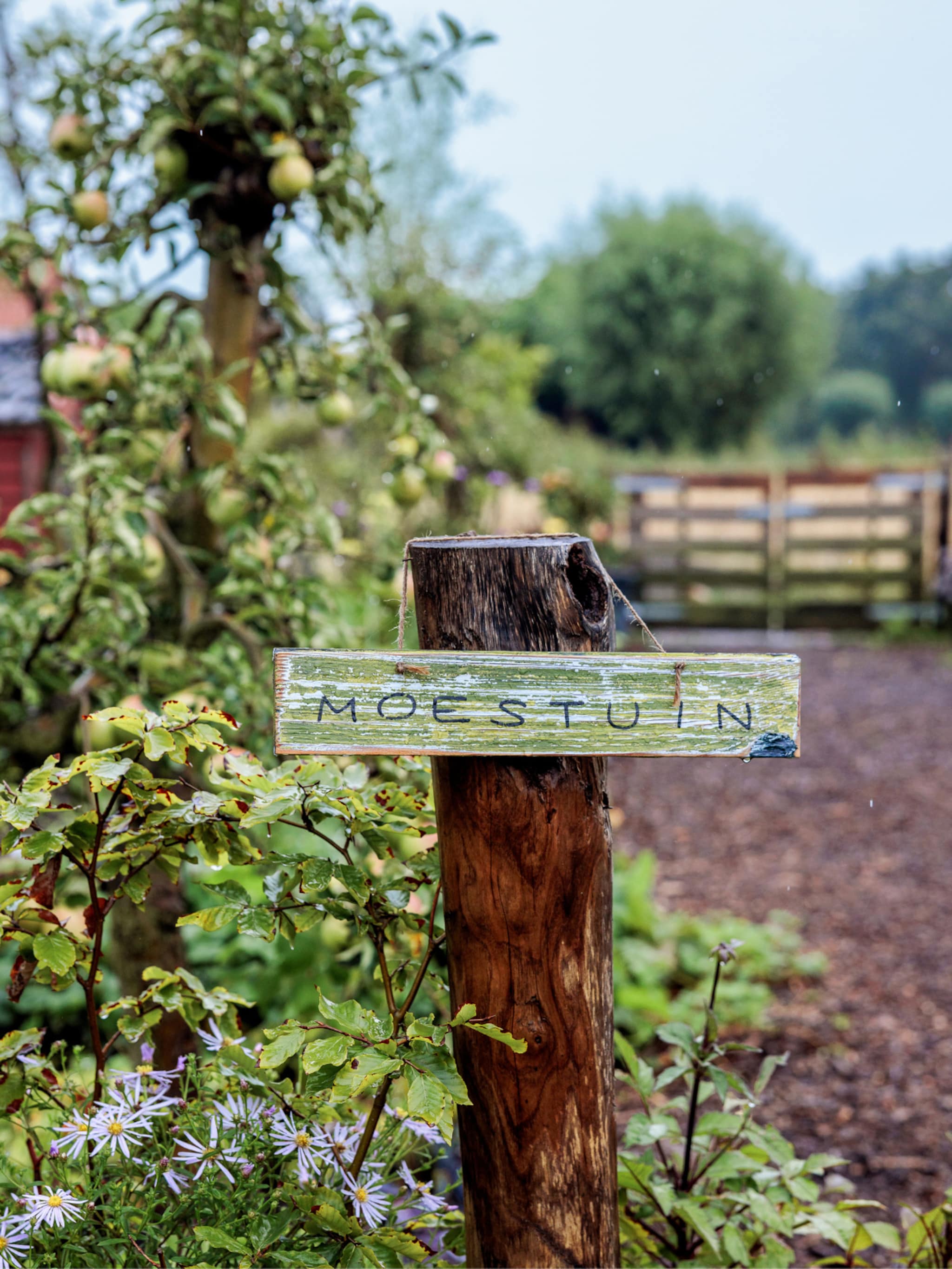 meest gemaakte fouten moestuin tips
