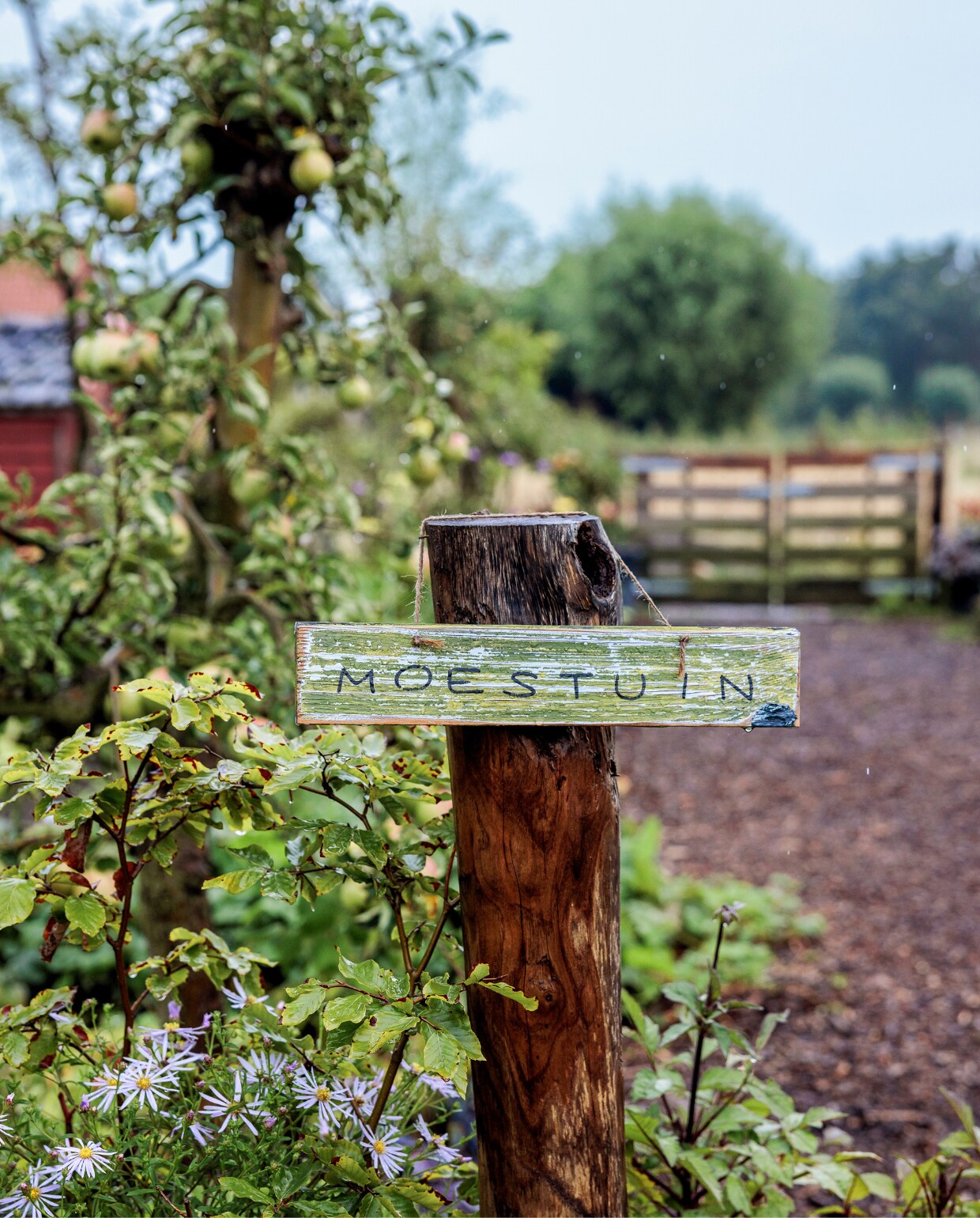 moestuin bord vtwonen tuinspecial 09 | styling Fietje Bruijn | fotografie Ernie Enkelaar