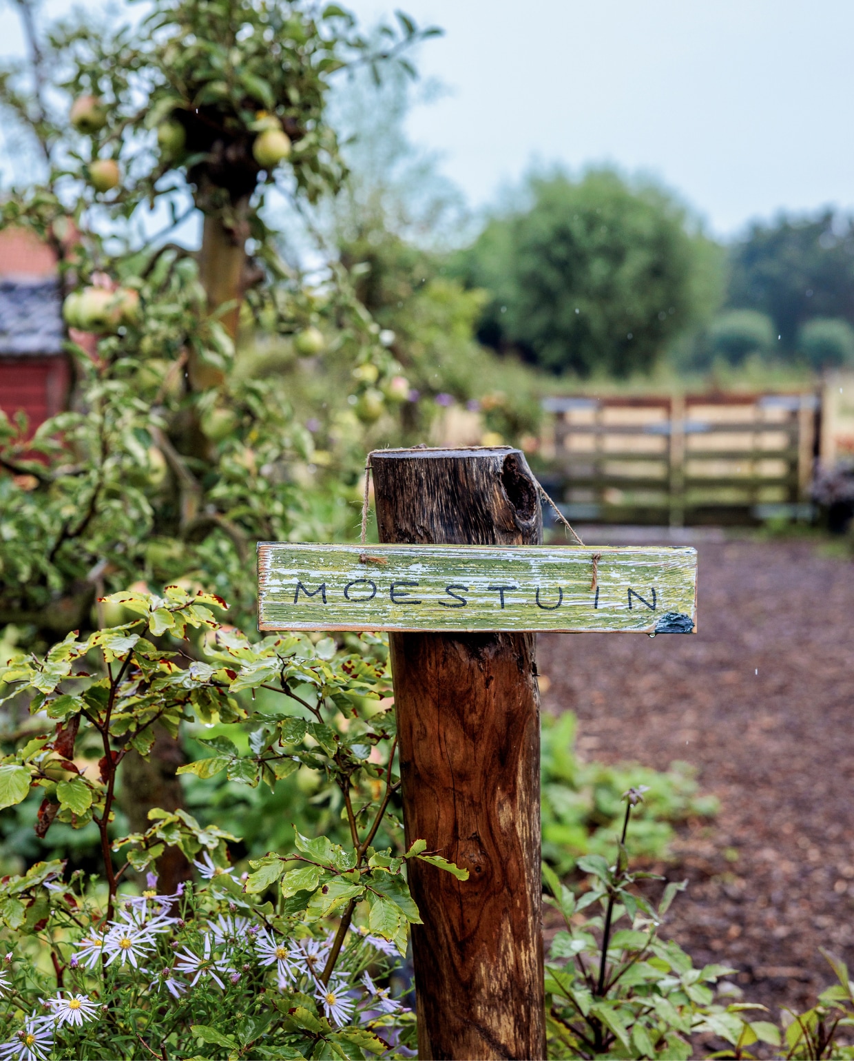 moestuin bord vtwonen tuinspecial 09-2024 | styling Fietje Bruijn | fotografie Ernie Enkelaar