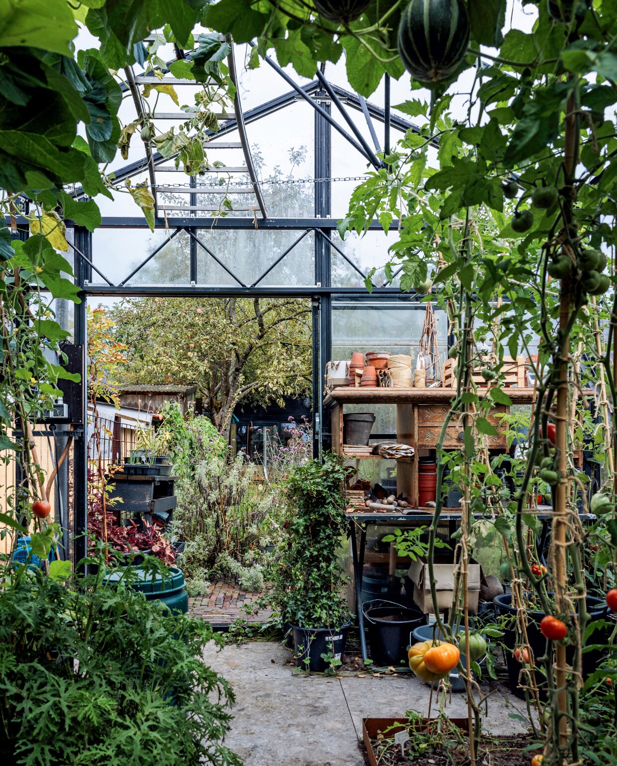 Achter in de kas is een klein terras. De ladder die horizontaal aan het dak hangt, functioneert als klimrek voor de meloenen. Rechts staan biologische tomaten. Tegels vtwonen. vtwonen tuinspecial 09 | styling Fietje Bruijn | fotografie Ernie Enkelaar